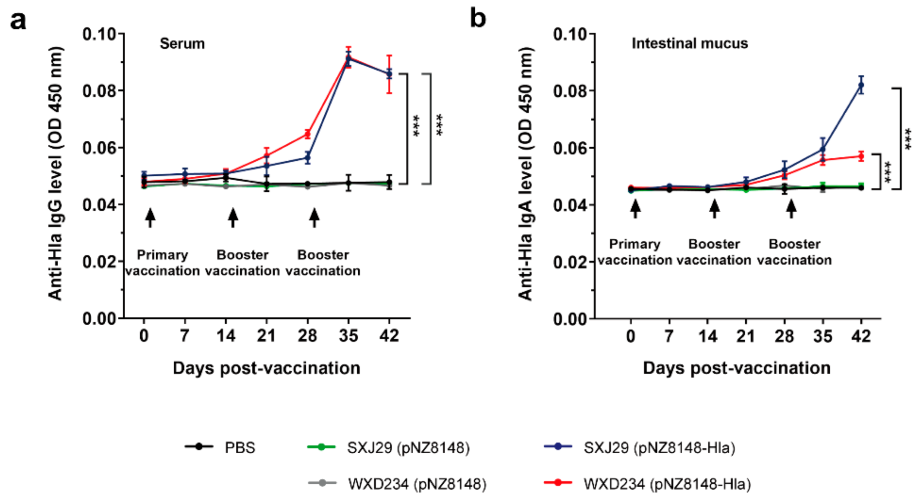 Vaccines 09 00984 g004