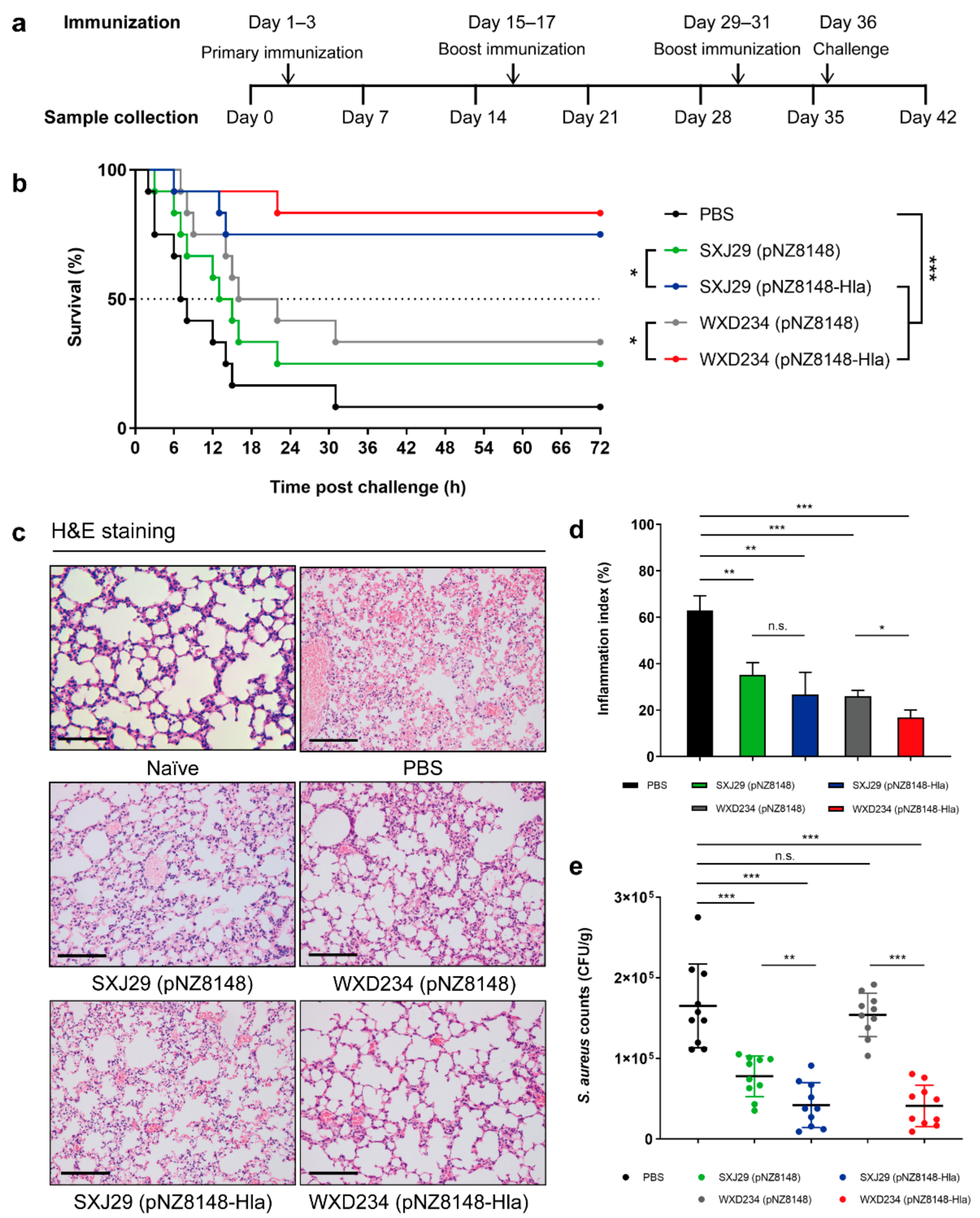 Vaccines 09 00984 g007
