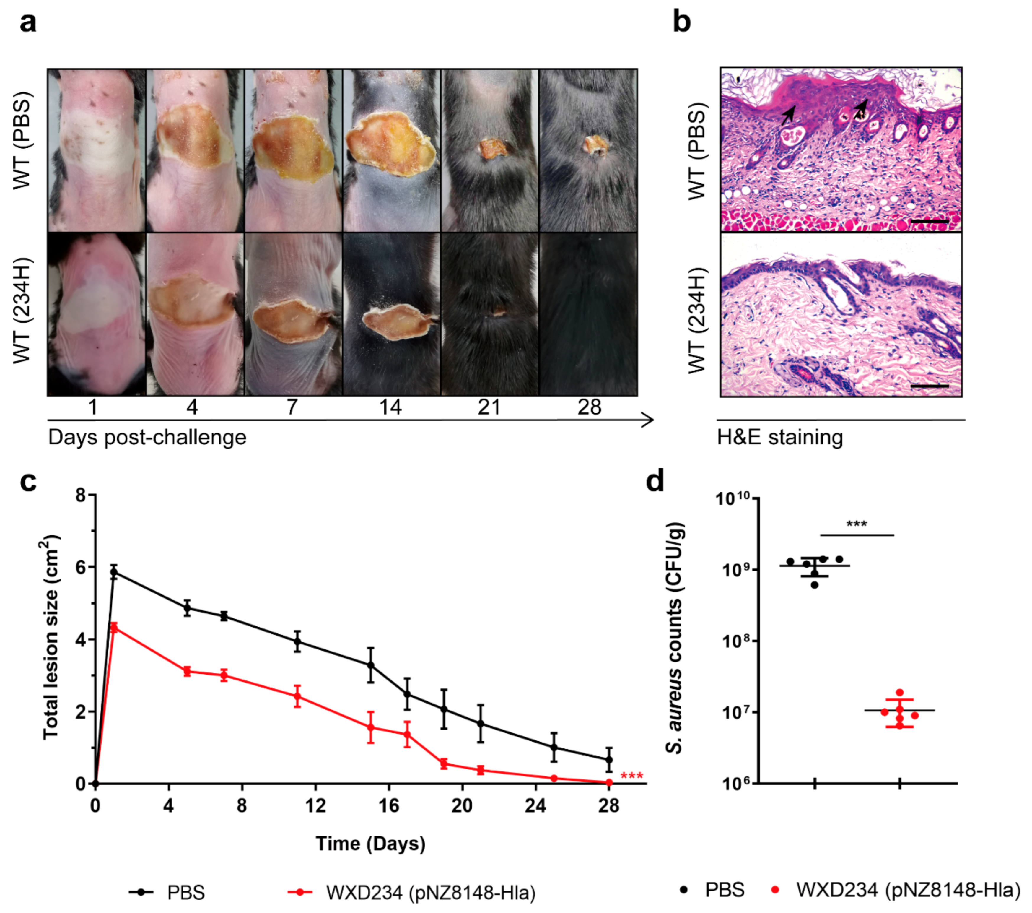 Vaccines 09 00984 g008