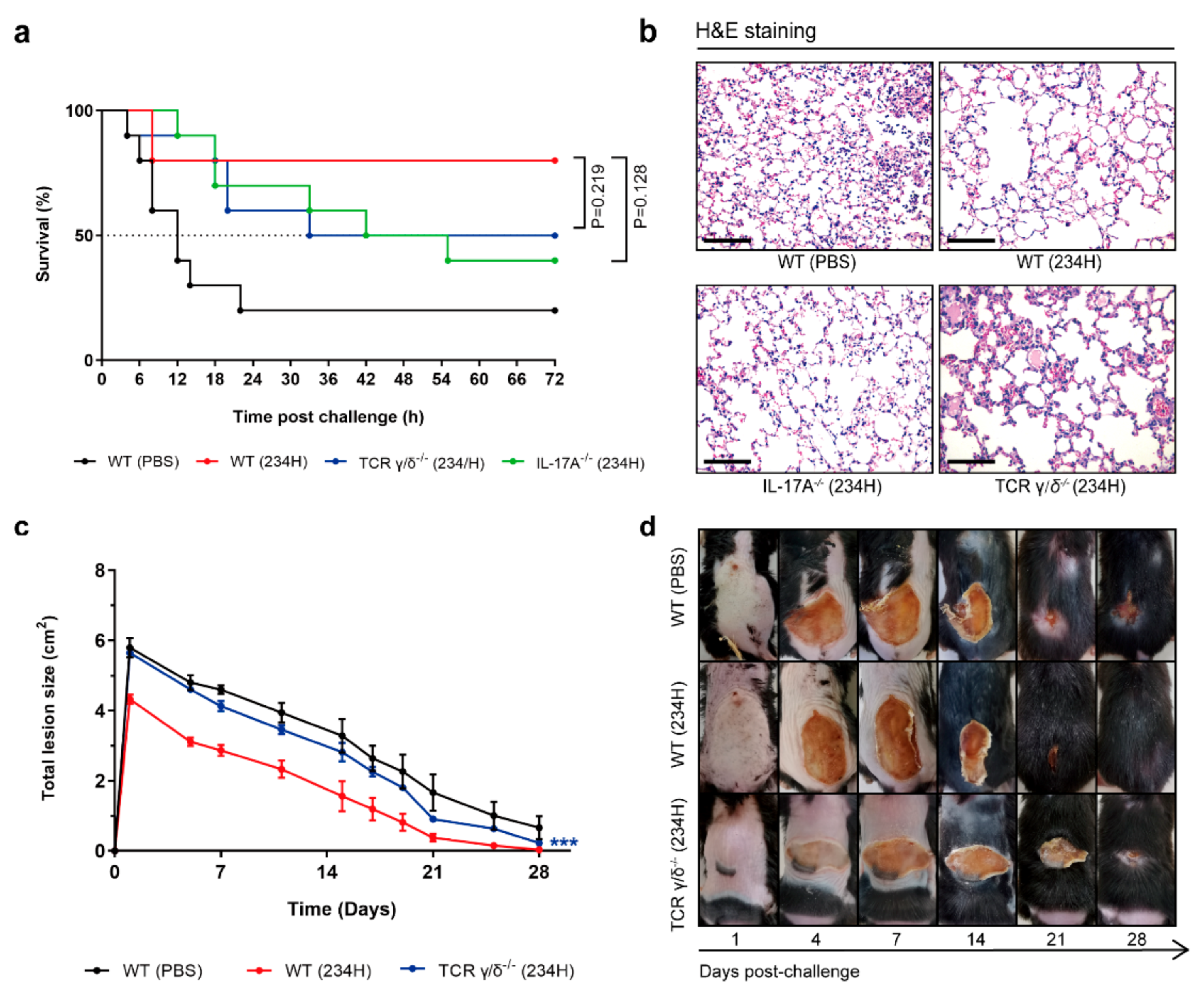 Vaccines 09 00984 g009