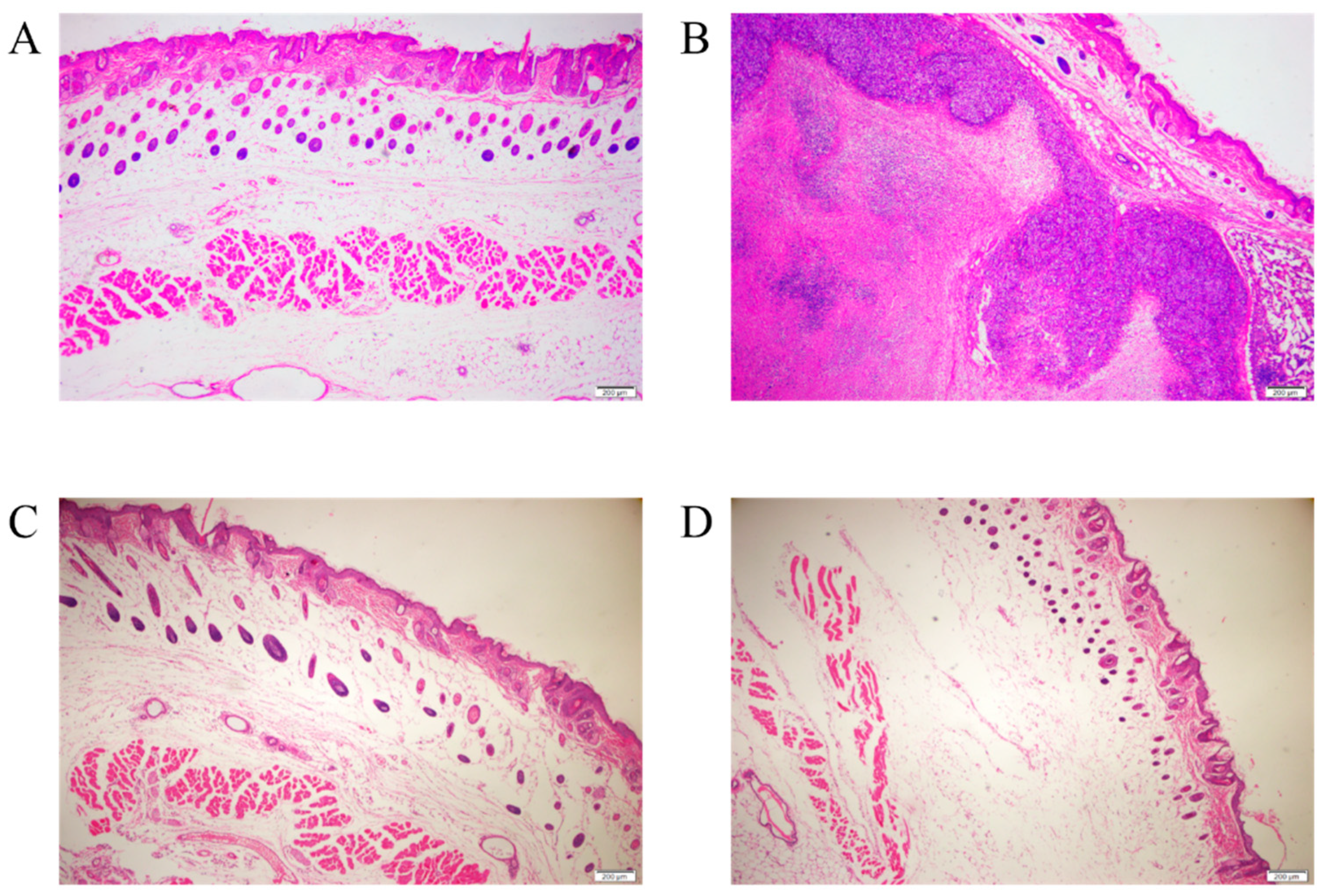 Vaccines 09 01006 g004