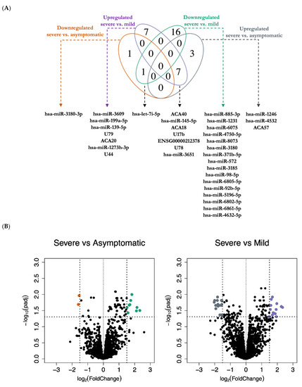 Vaccines | Free Full-Text | SnoRNAs and miRNAs Networks Underlying COVID-19  Disease Severity | HTML