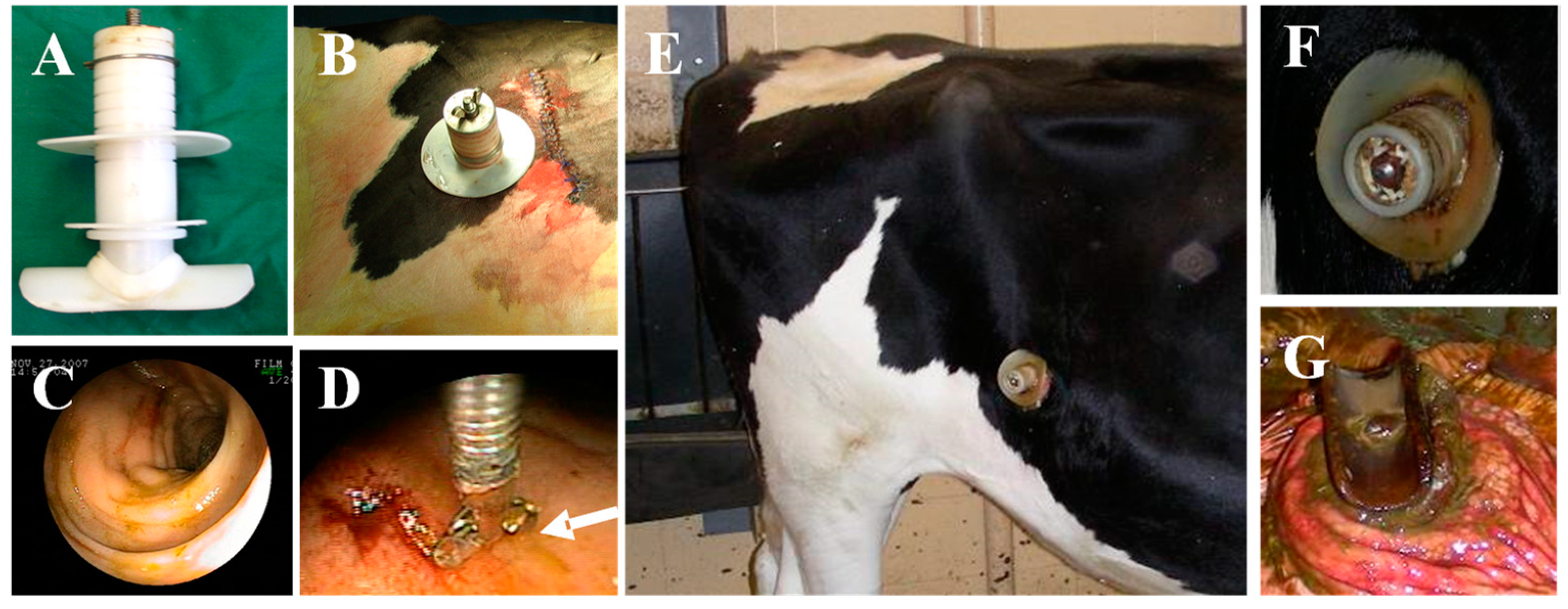 Vaccines 09 01085 g001