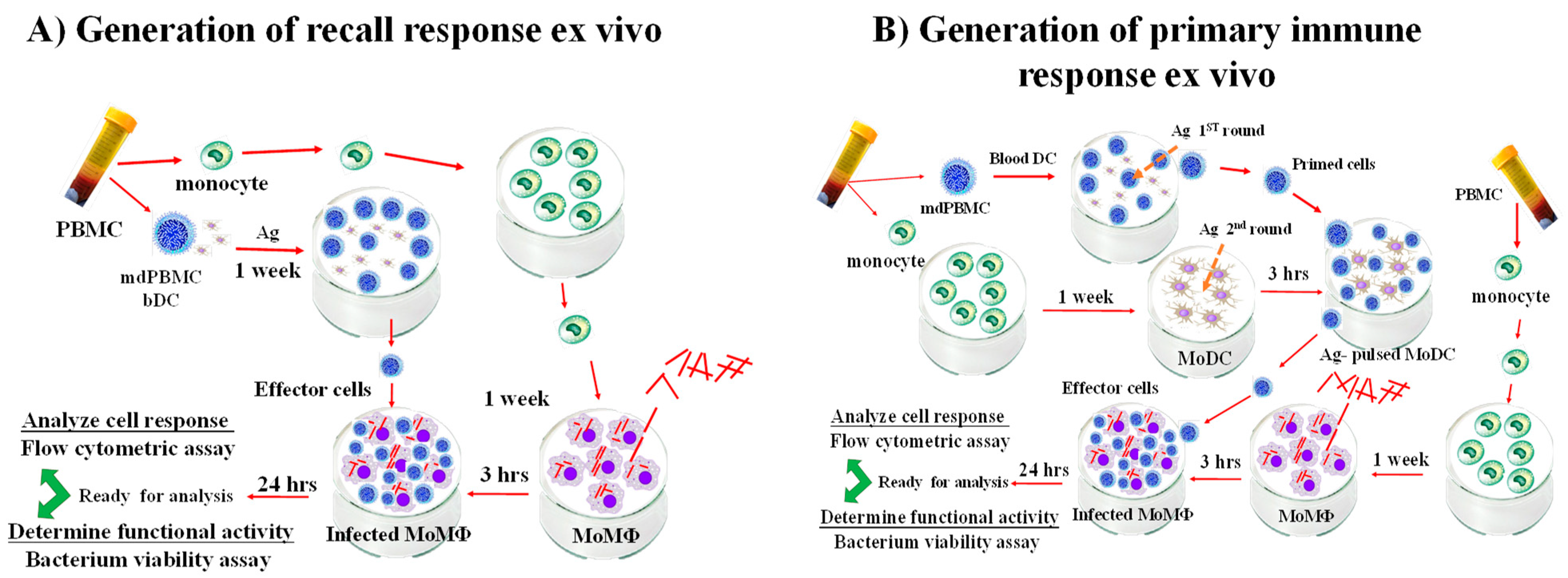 Vaccines 09 01085 g002