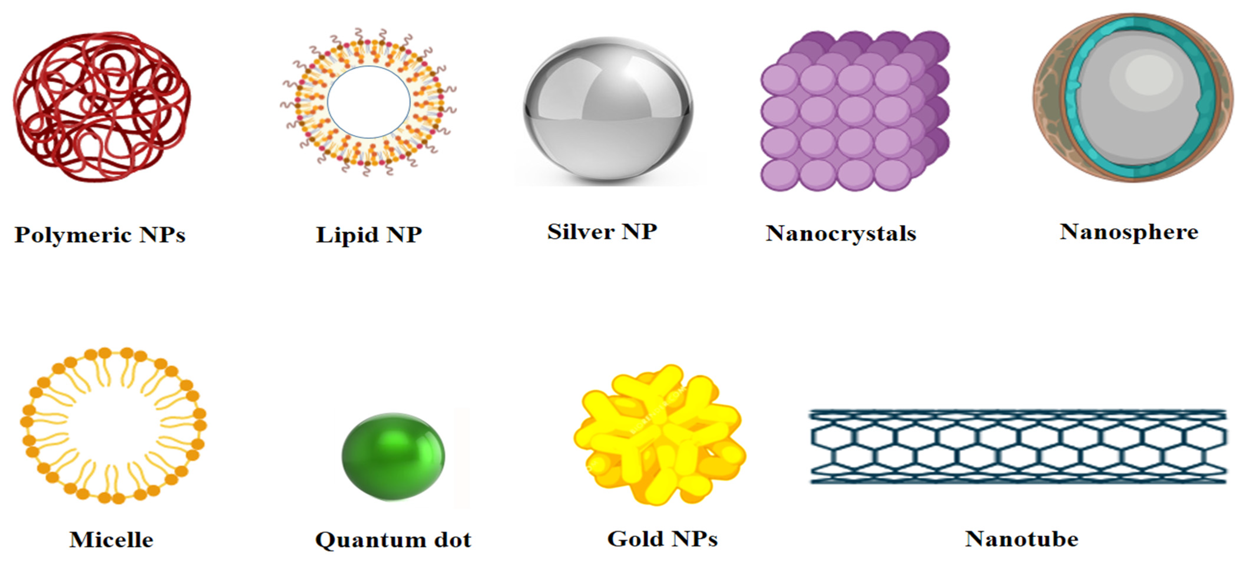 Vaccines 09 01129 g002
