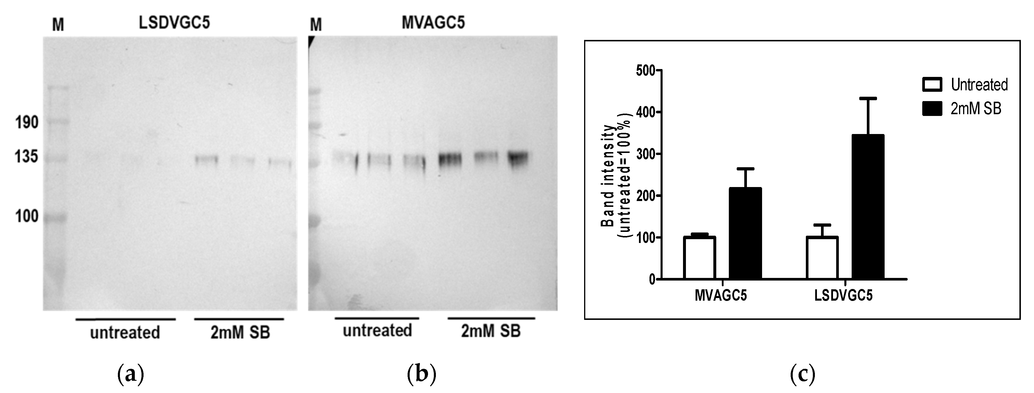 Vaccines 09 01131 g005