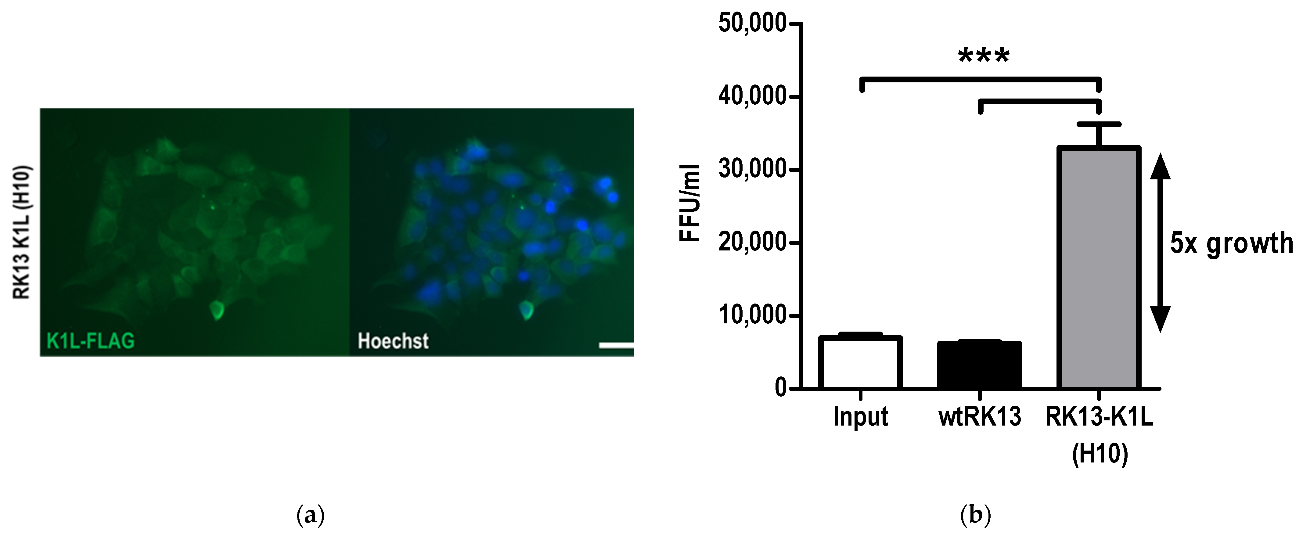 Vaccines 09 01131 g006