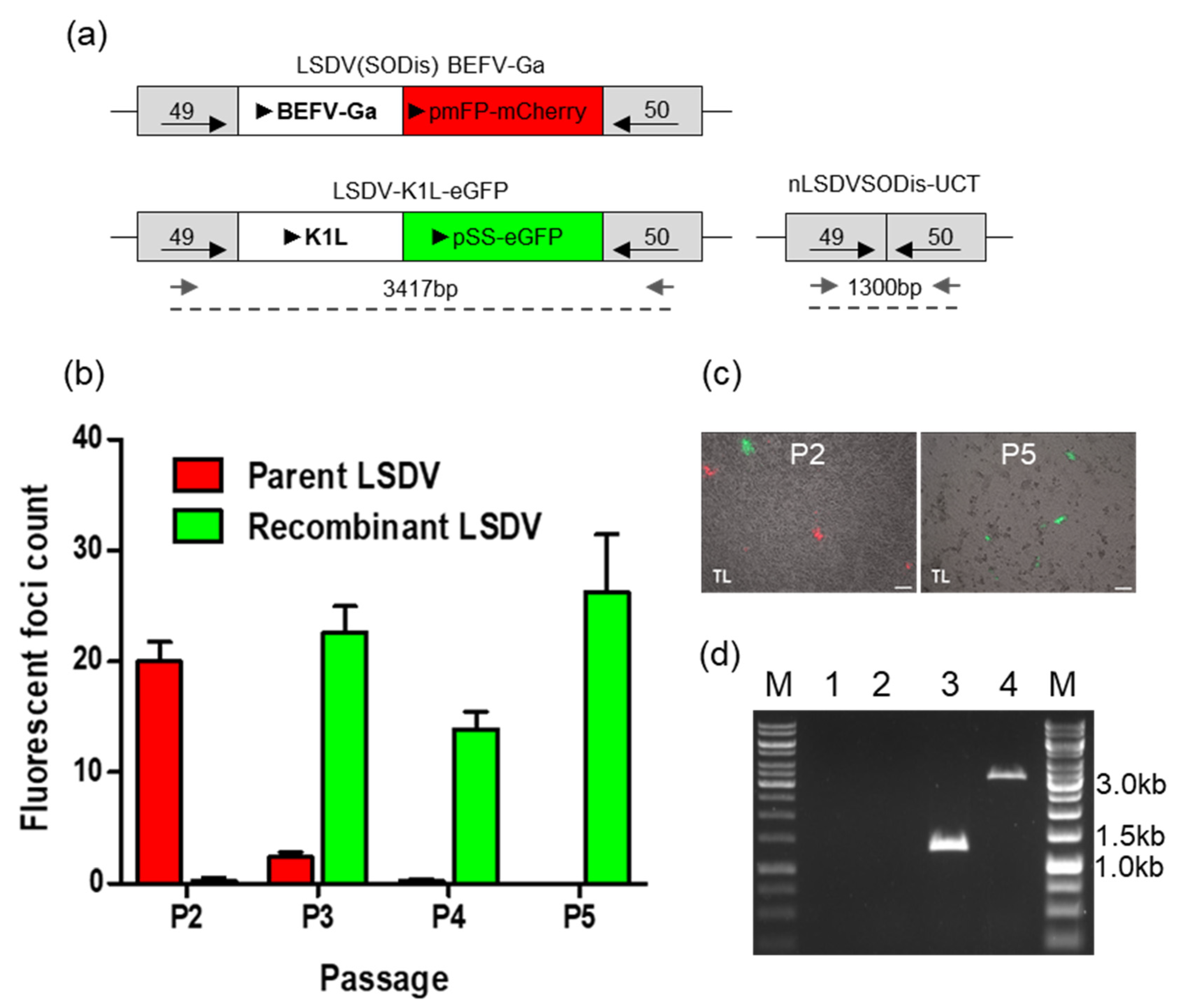 Vaccines 09 01131 g007