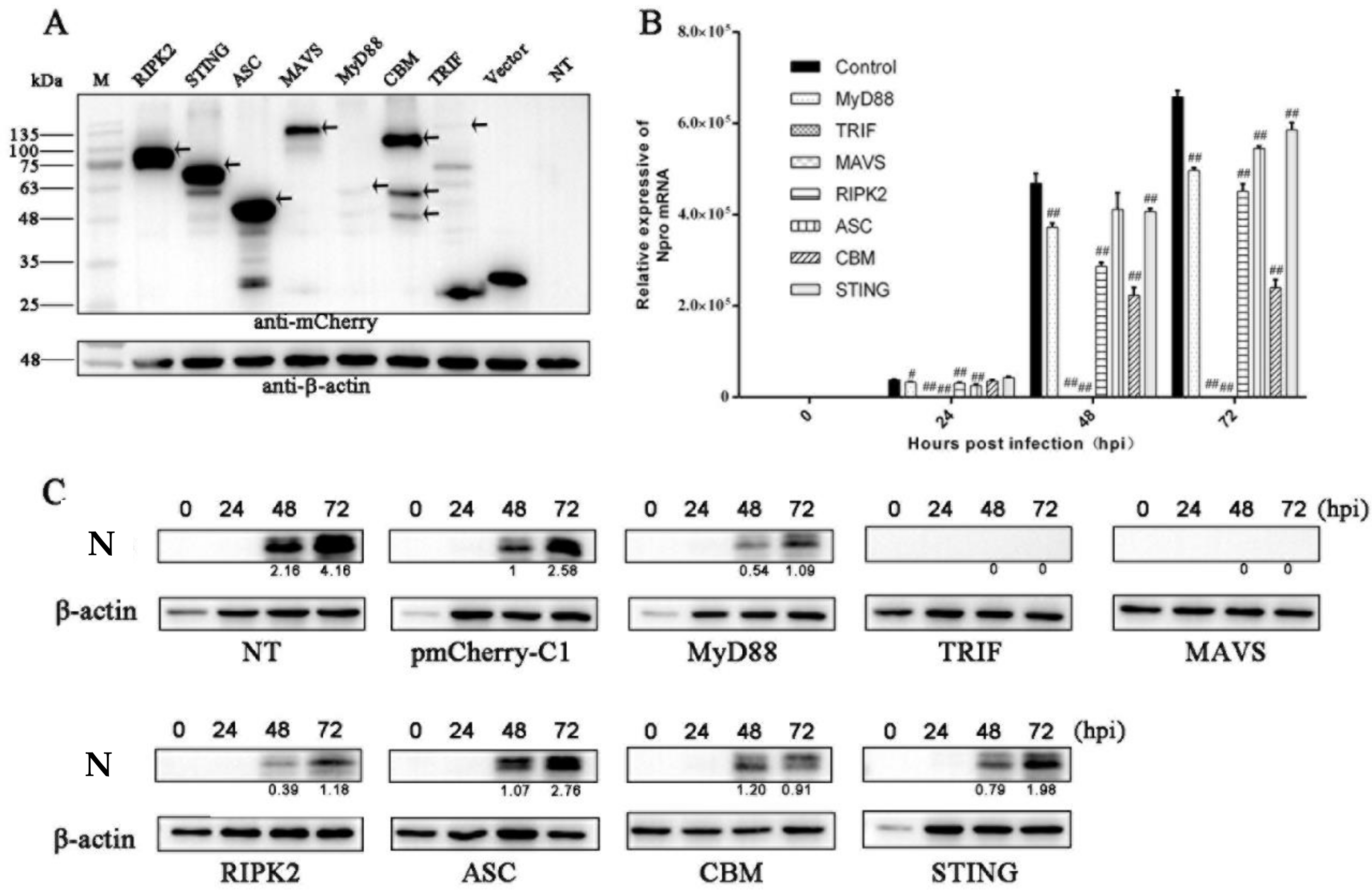 Vaccines 09 01176 g001
