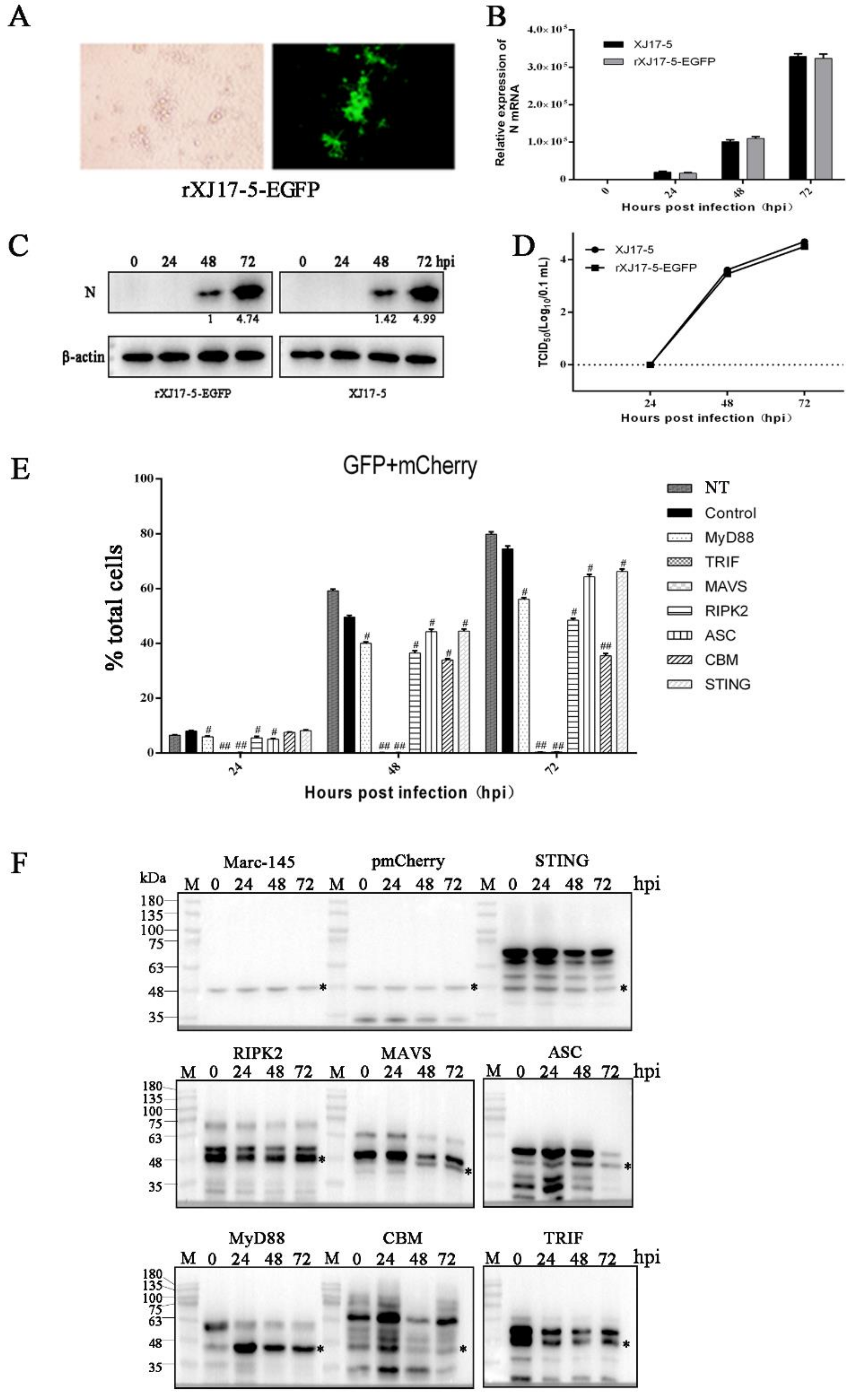 Vaccines 09 01176 g002