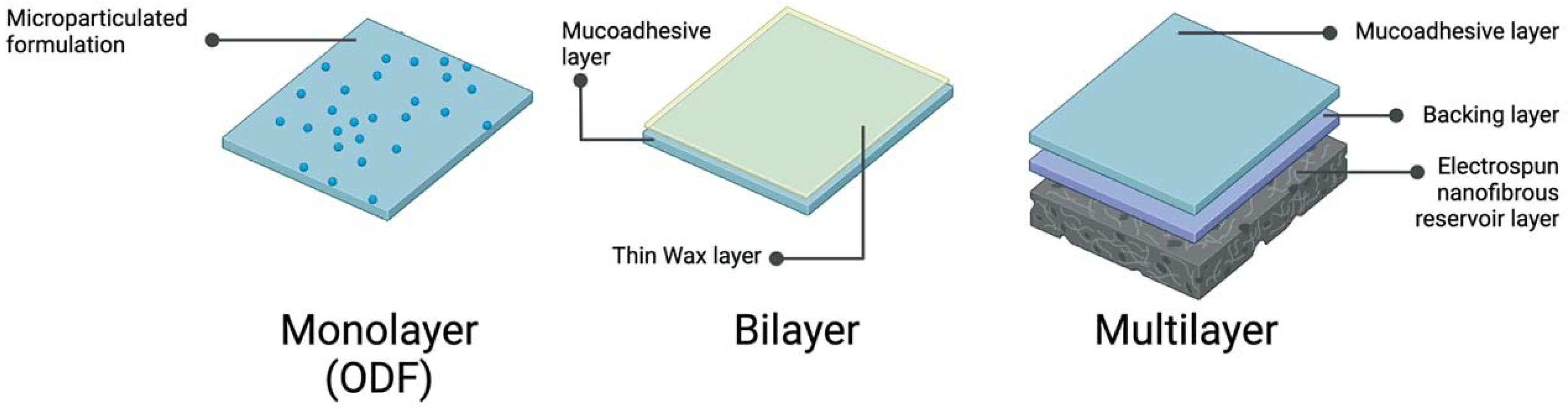 Vaccines 09 01177 g002