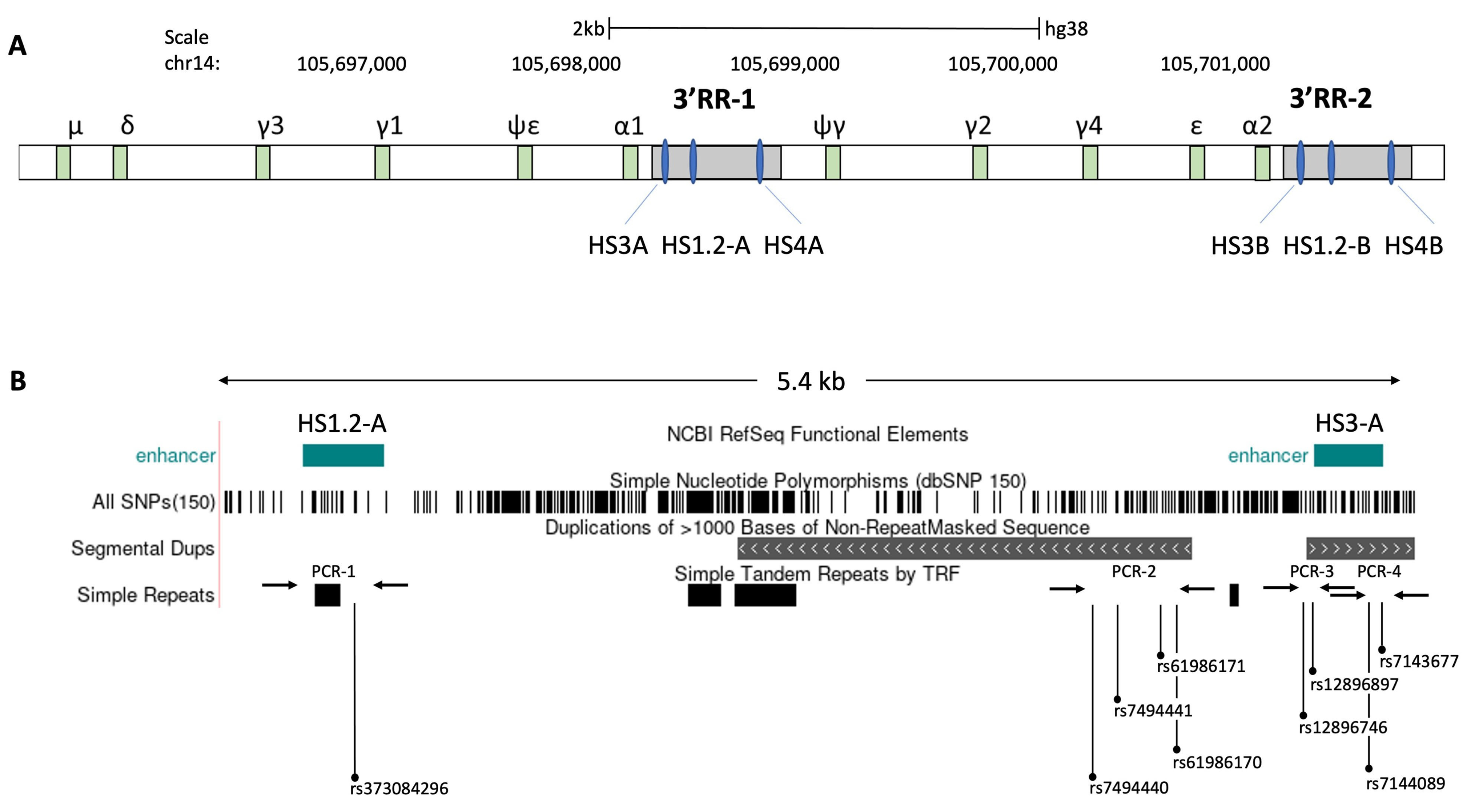 Vaccines 09 01207 g004