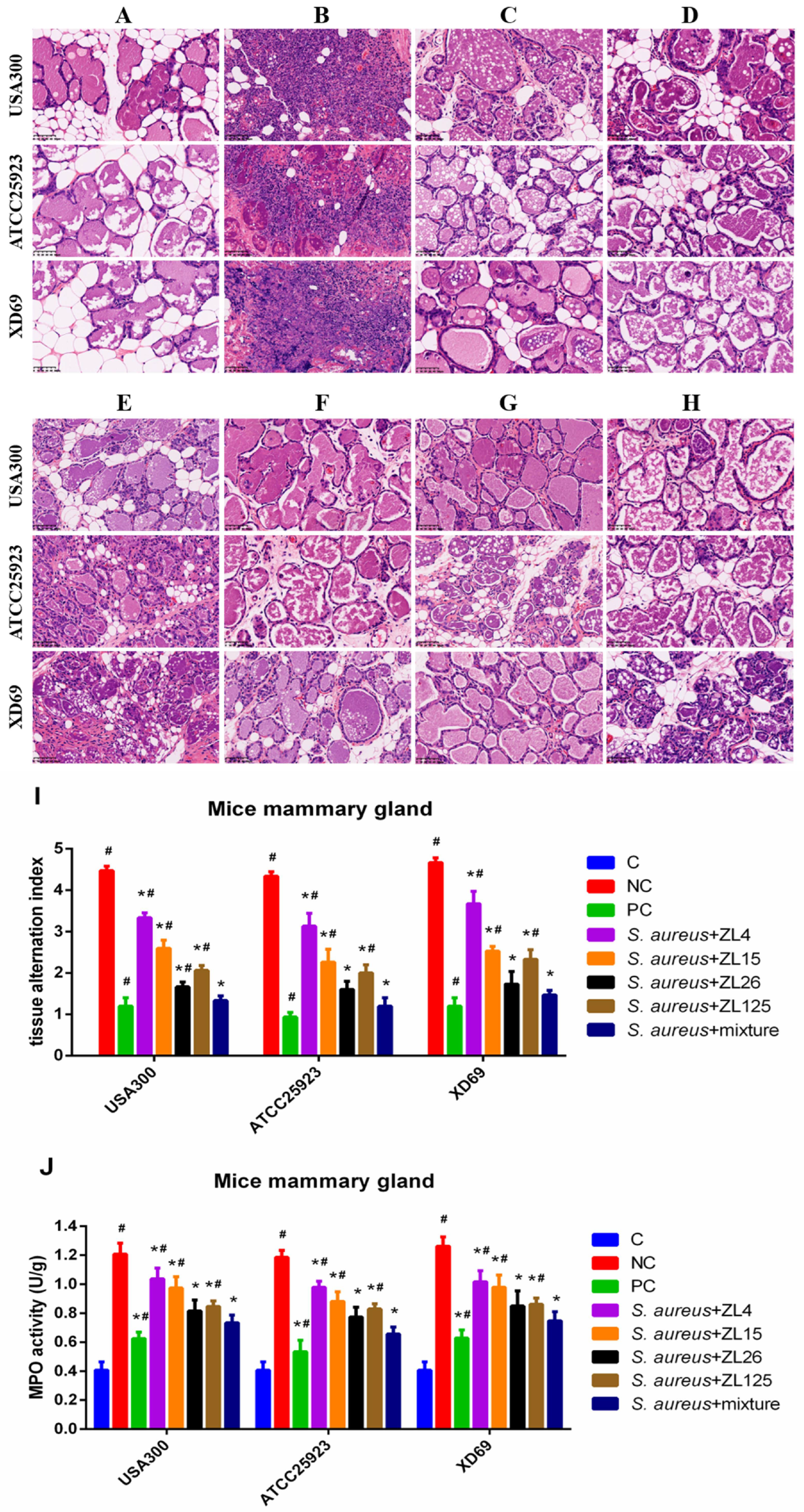 Vaccines 09 01300 g007