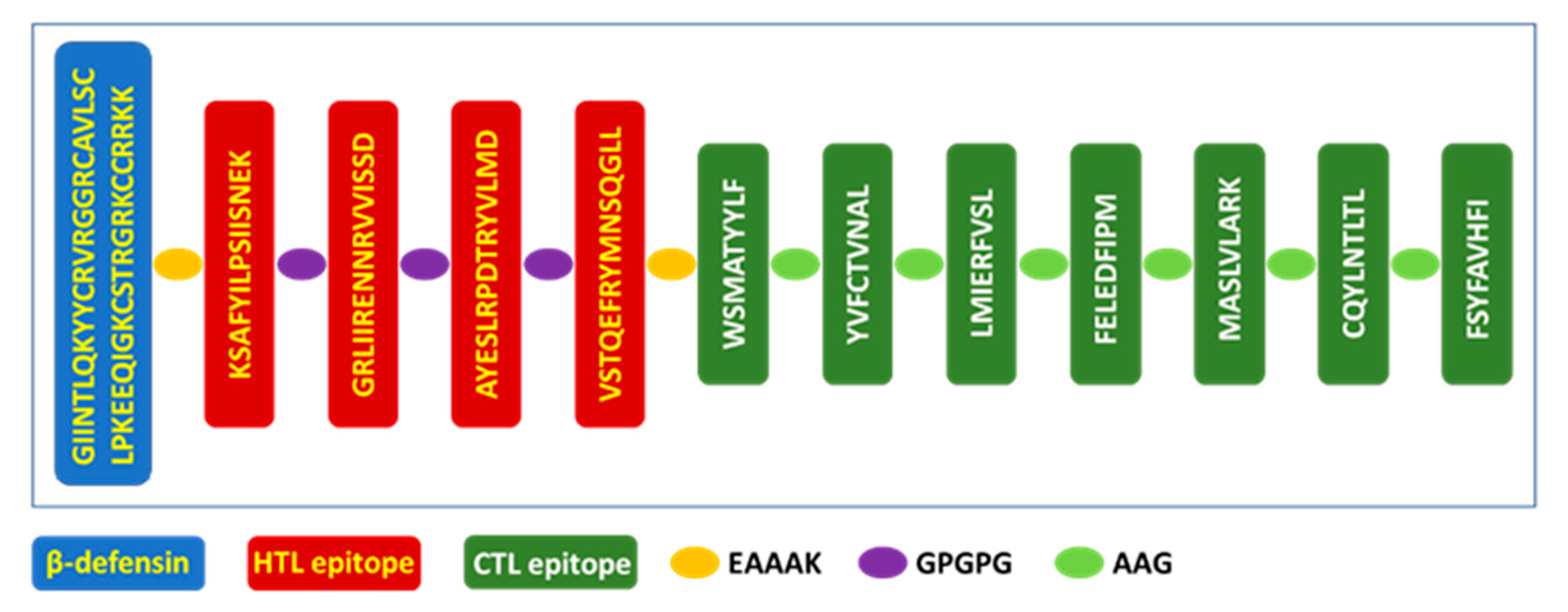 Vaccines 09 01459 g006