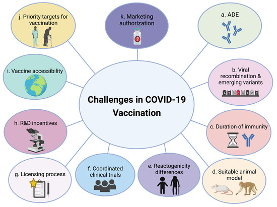 COVID-19 Vaccine Needle Size: Why Anti-Fatness Can Prevent Proper  Vaccination