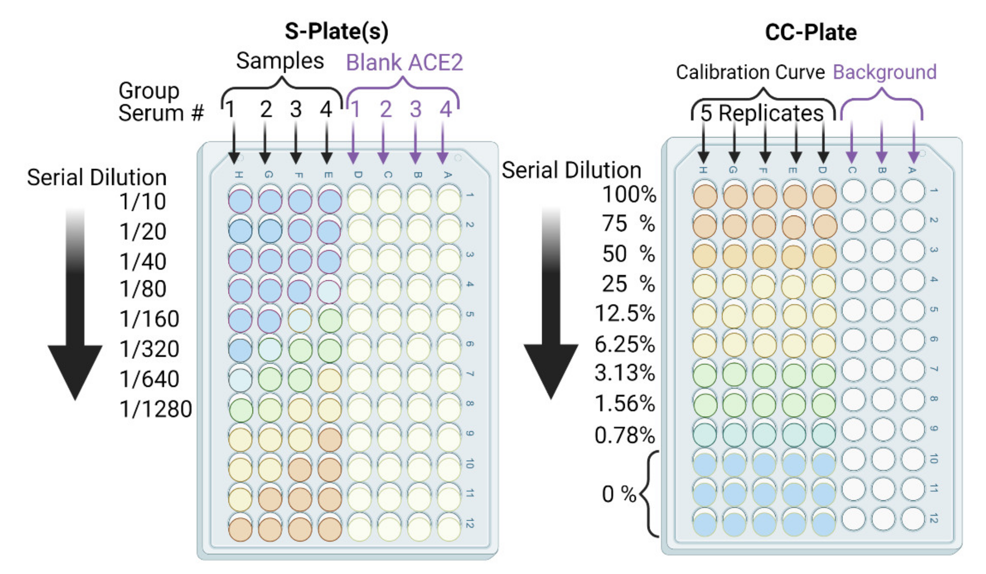 Vaccines 09 01493 g005