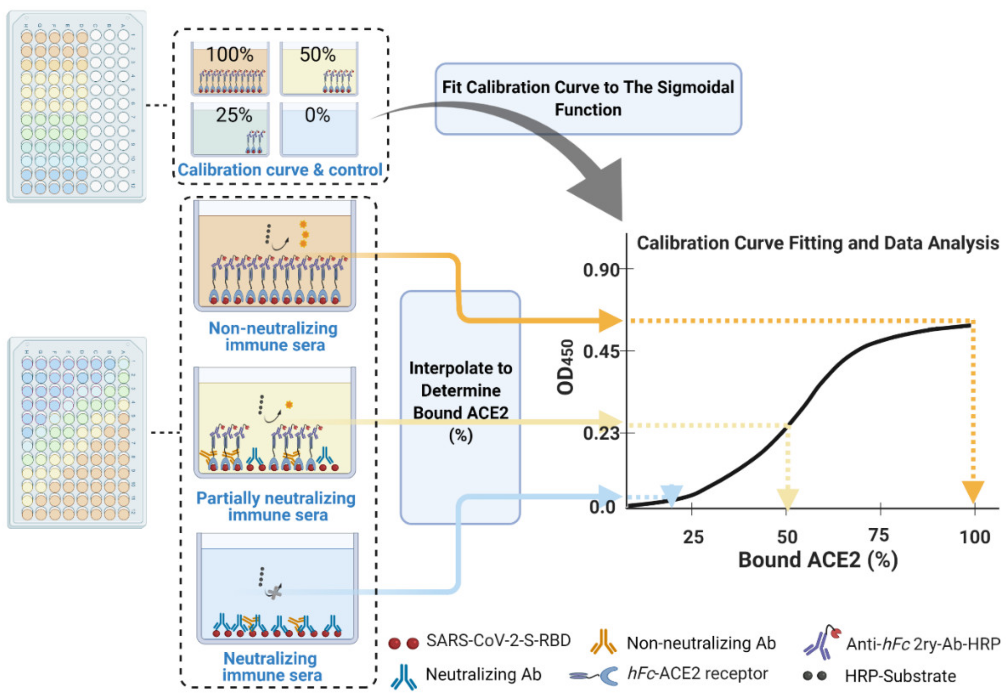 Vaccines 09 01493 g006