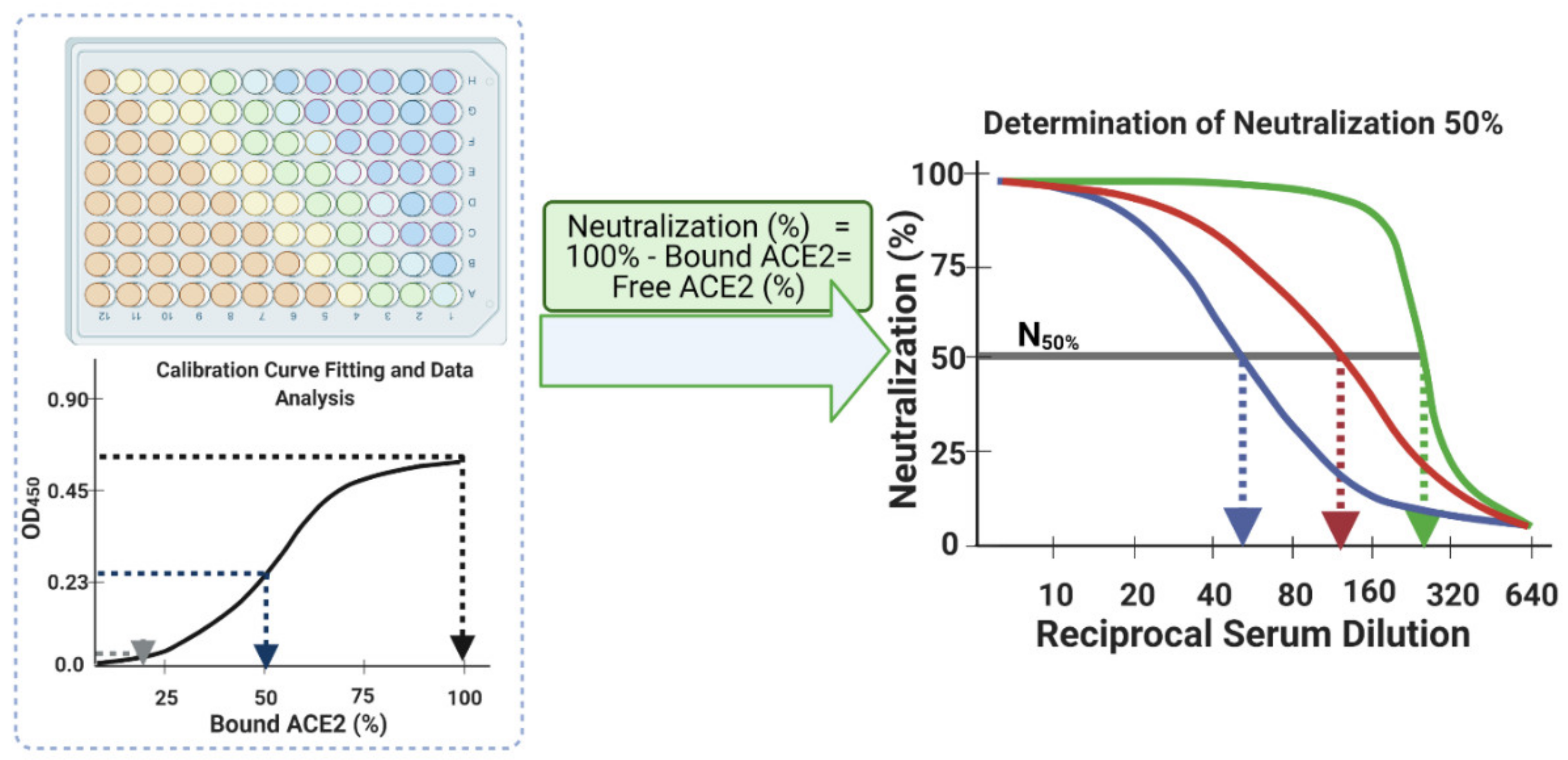 Vaccines 09 01493 g007