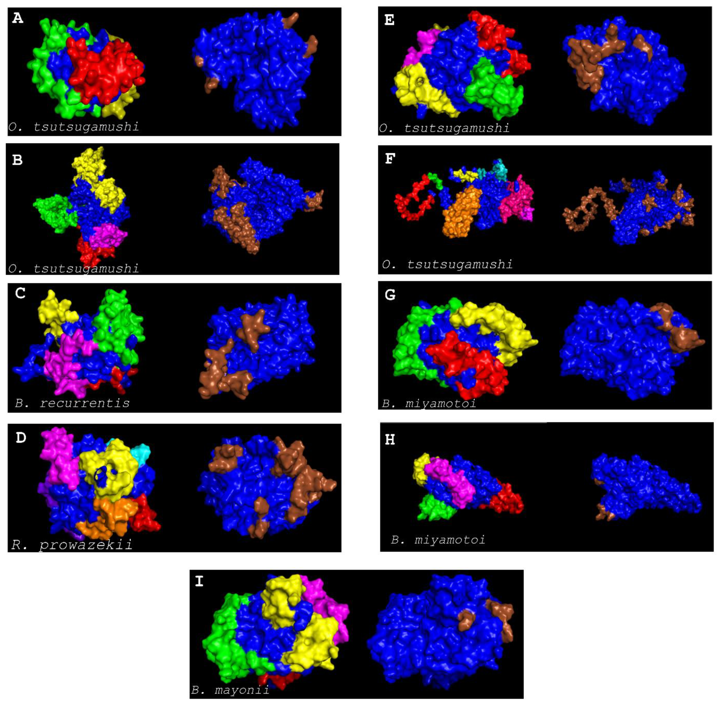 Vaccines 10 00008 g005