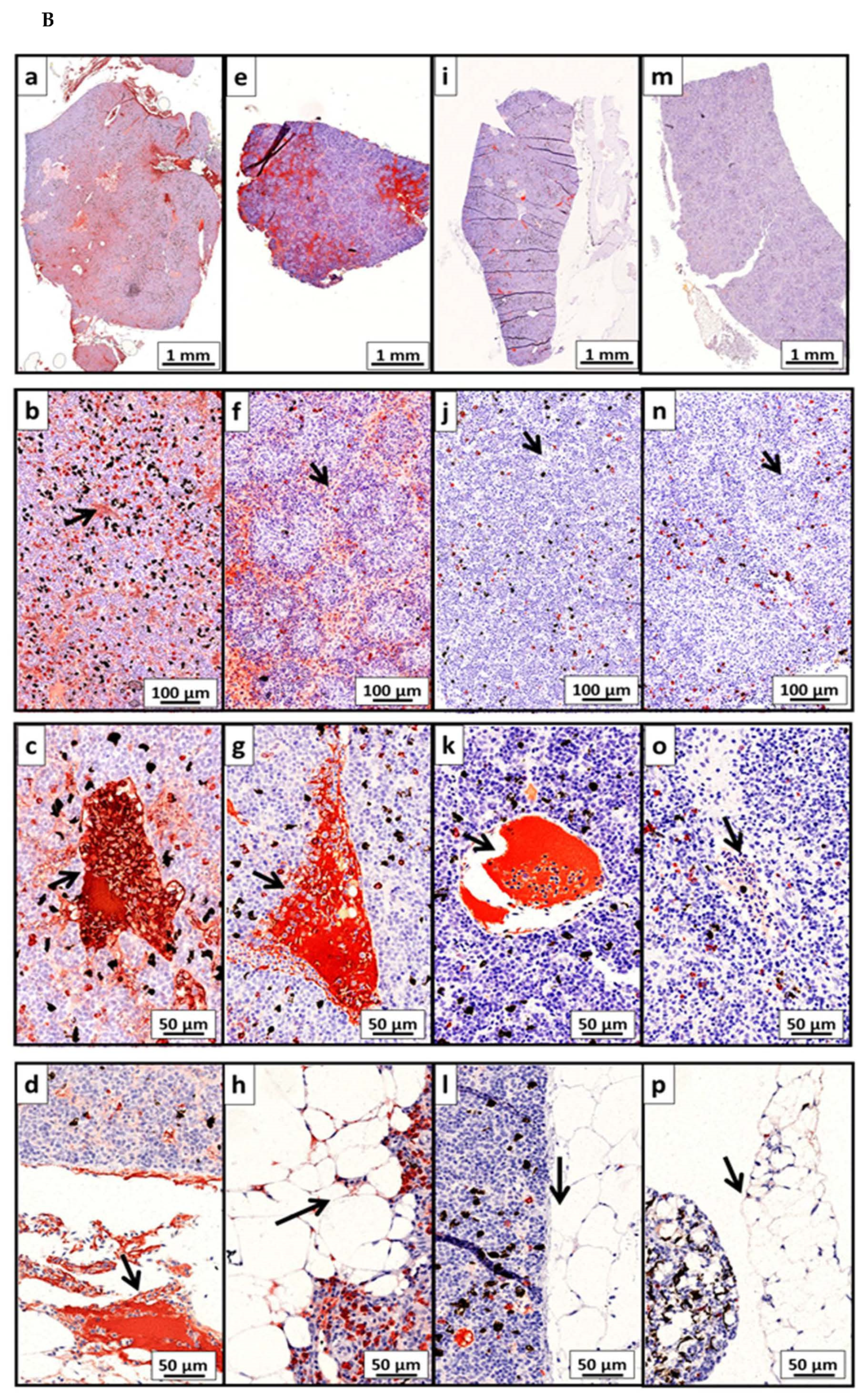Vaccines 10 00016 g008b