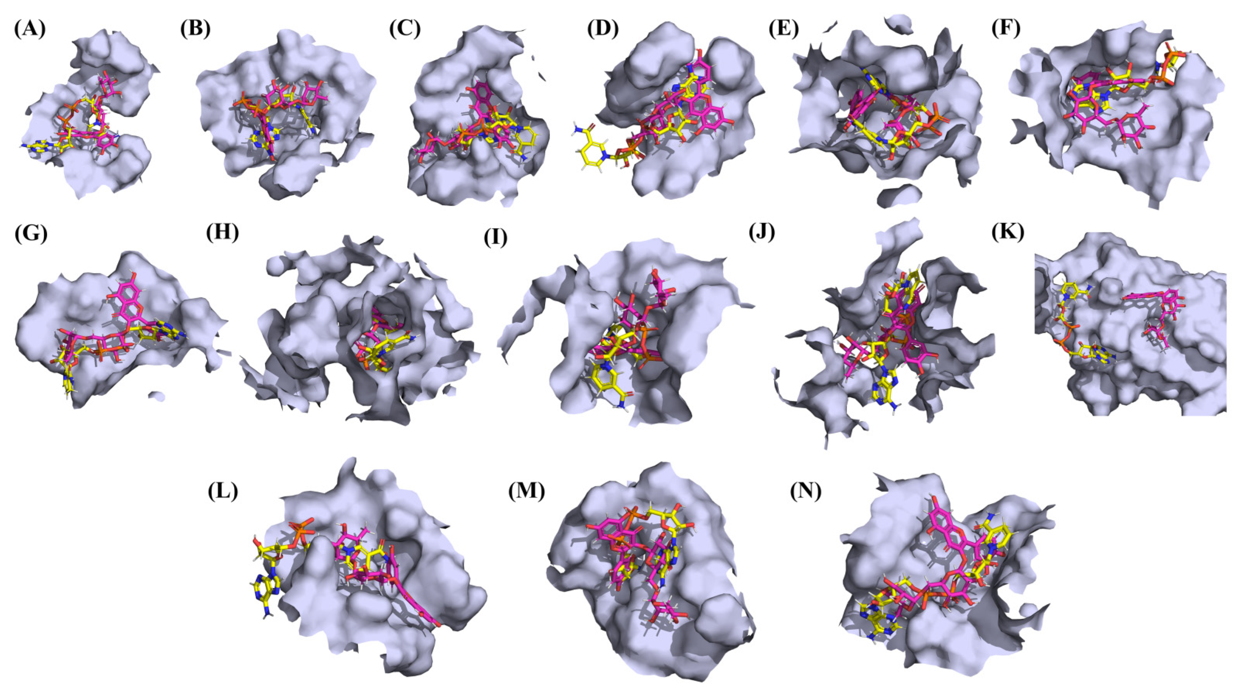 Vaccines 10 00024 g016