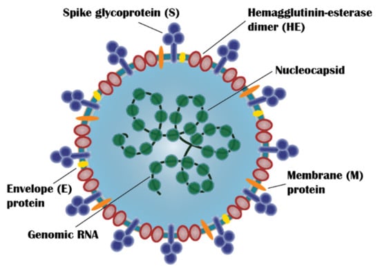 https://www.mdpi.com/vaccines/vaccines-10-00062/article_deploy/html/images/vaccines-10-00062-g001-550.jpg