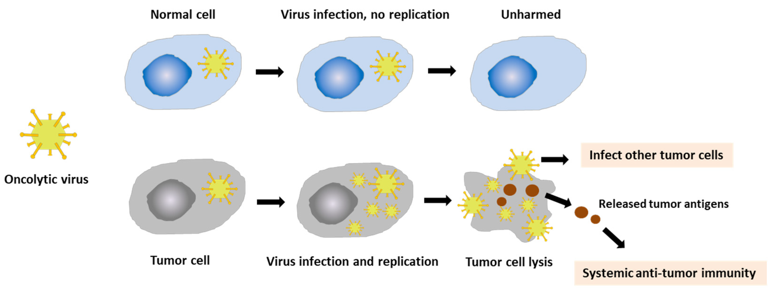 Vaccines 10 00240 g002