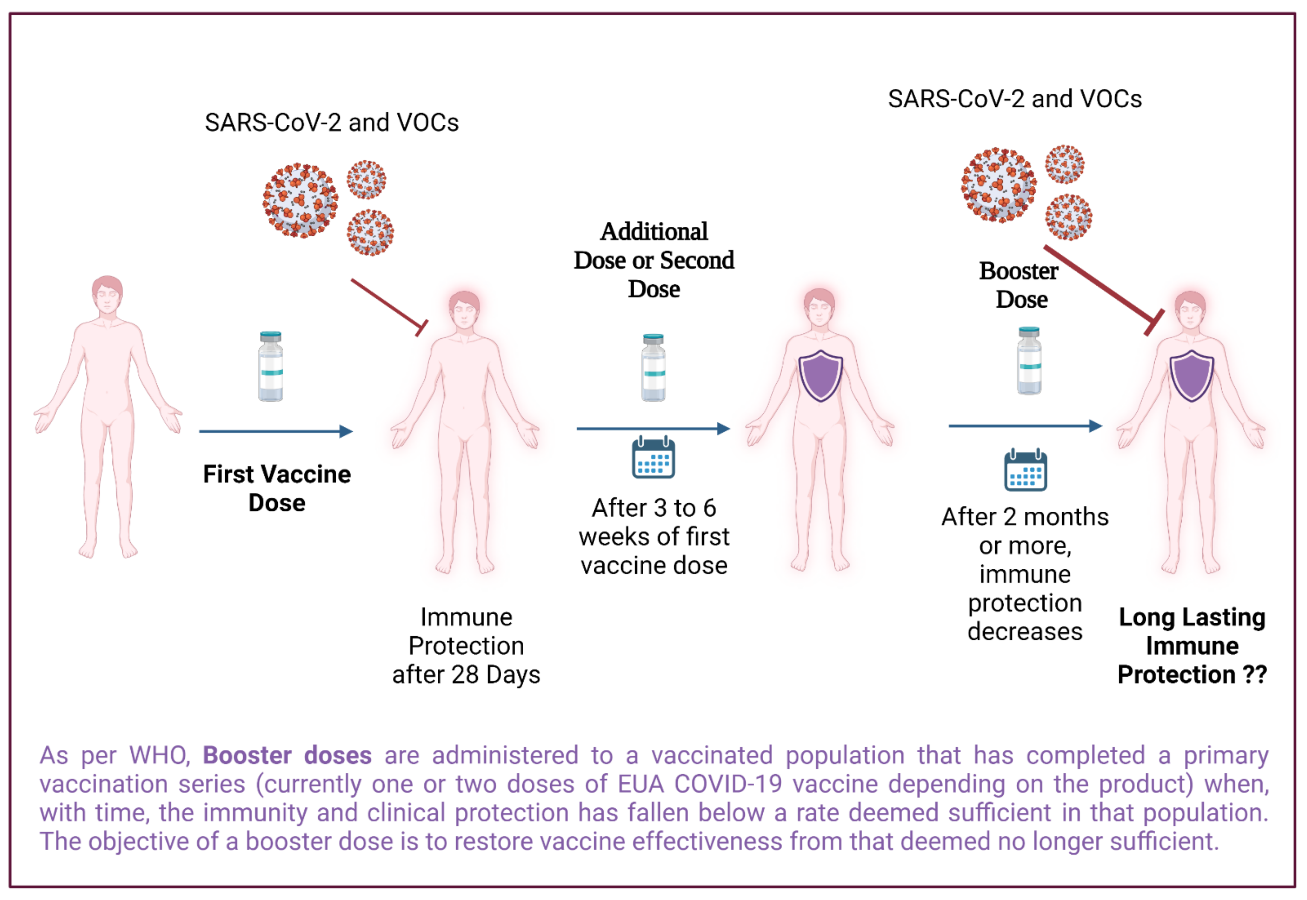 Vaccines | Free Full-Text | Is Booster Dose Strategy Sufficient for Omicron  Variant of SARS-CoV-2?