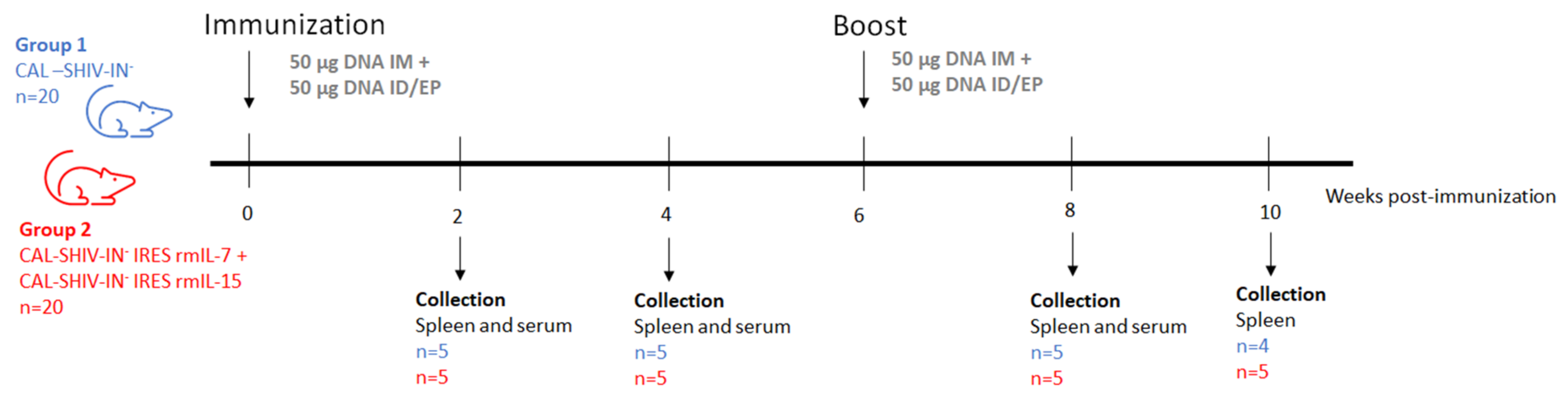 Vaccines 10 00461 g0a2