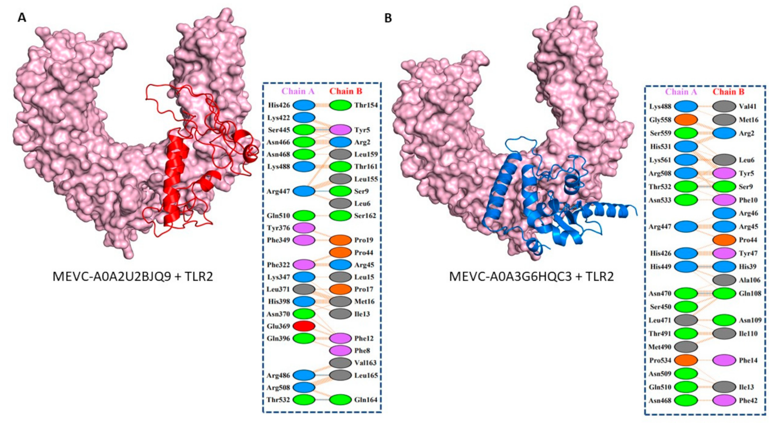 Vaccines 10 00462 g004