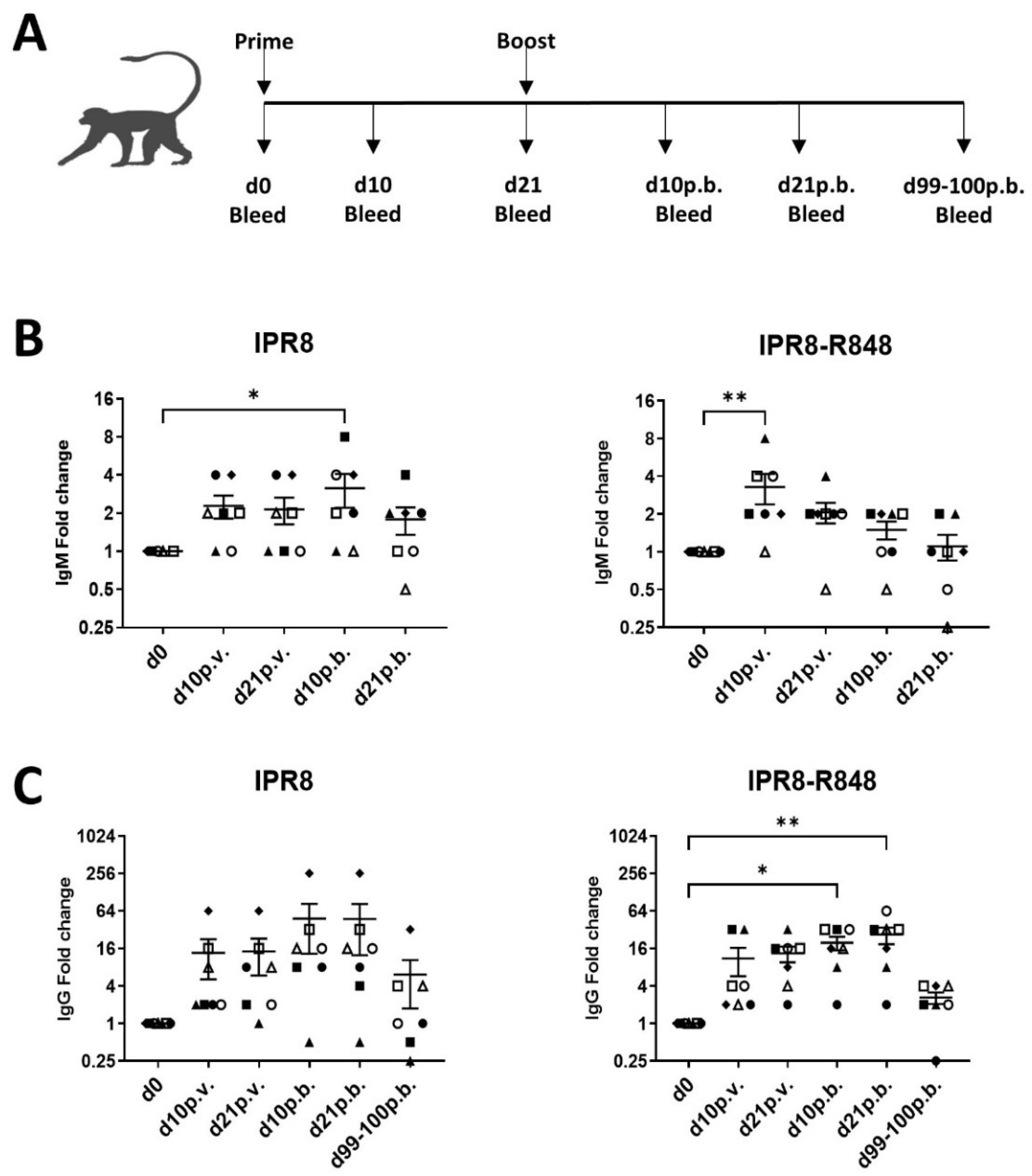 Vaccines 10 00494 g001