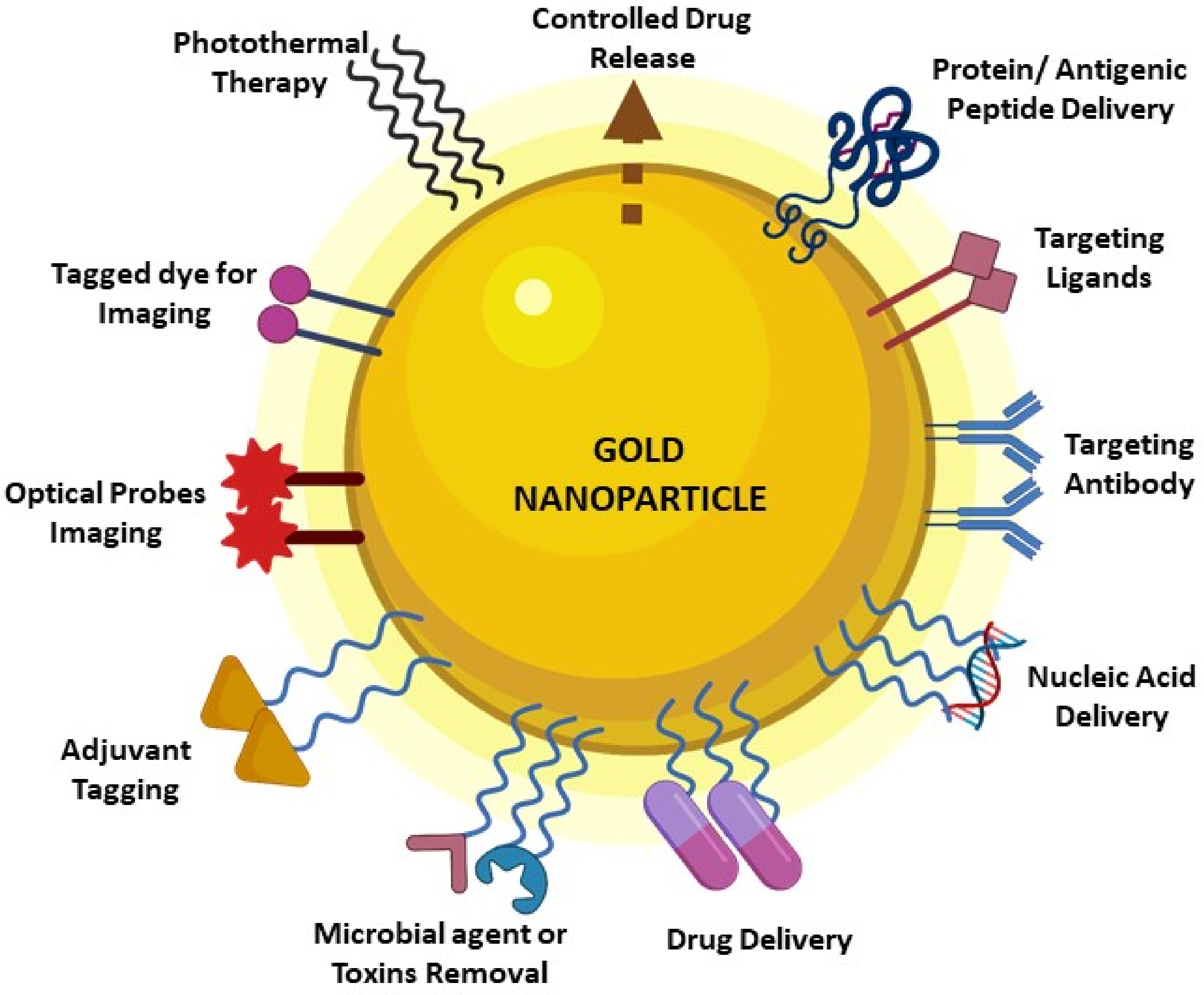 Vaccines | Free Full-Text | Efficacy and Immune Response Elicited by Gold  Nanoparticle- Based Nanovaccines against Infectious Diseases | HTML