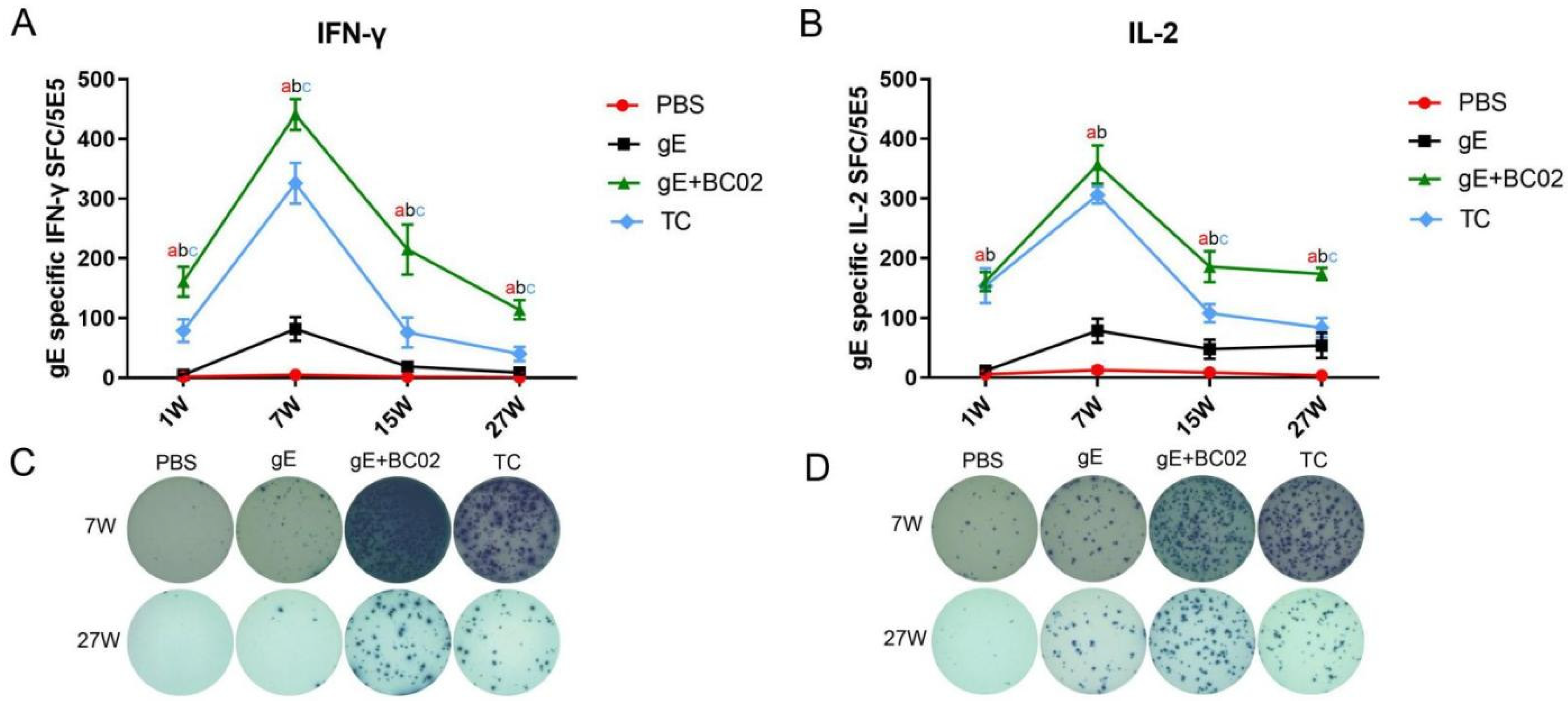 Vaccines 10 00529 g002