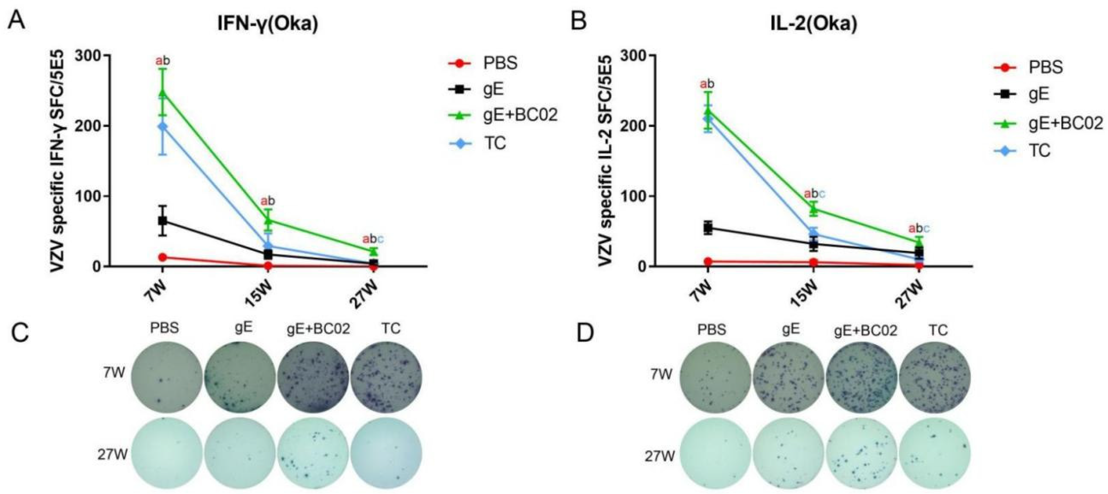 Vaccines 10 00529 g003