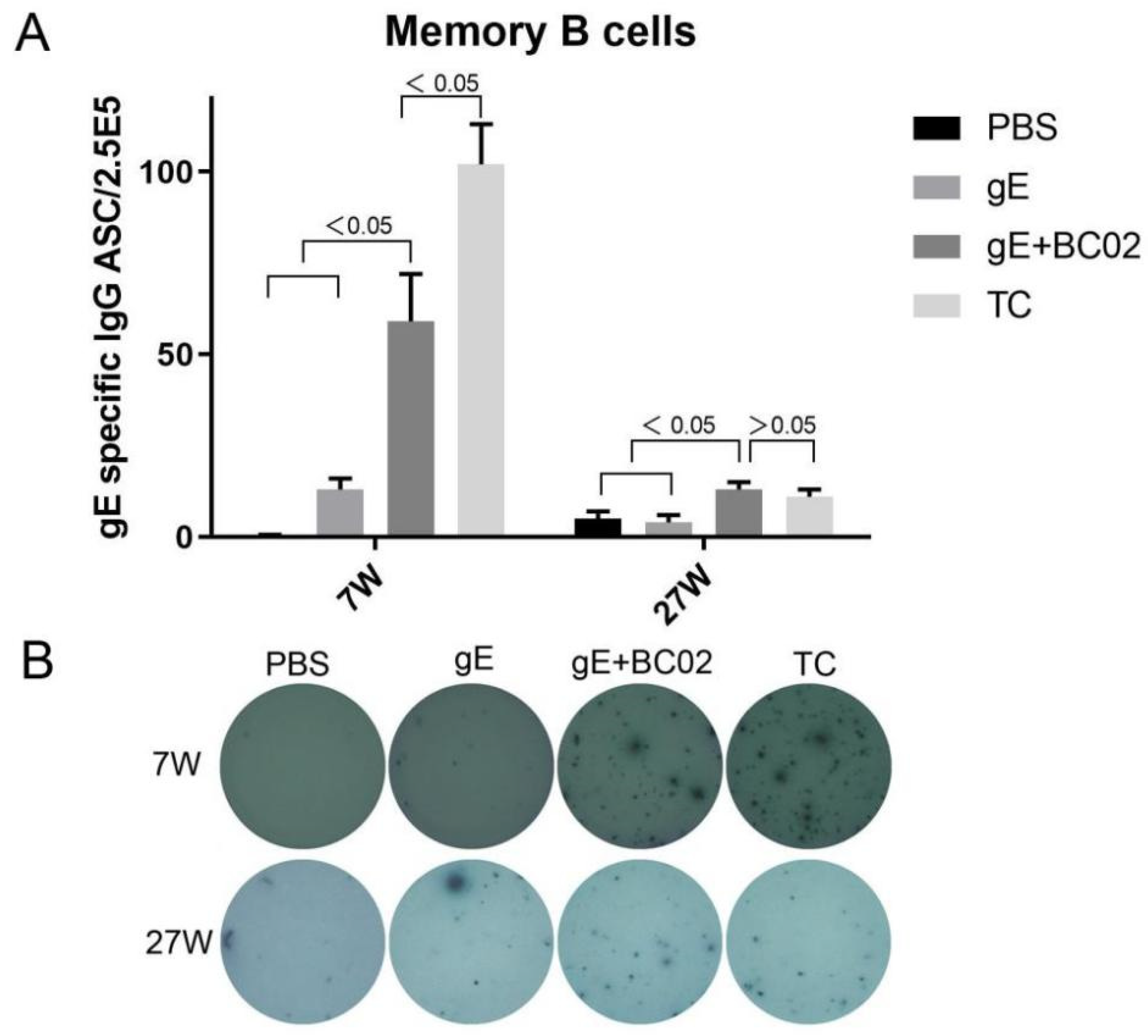 Vaccines 10 00529 g004