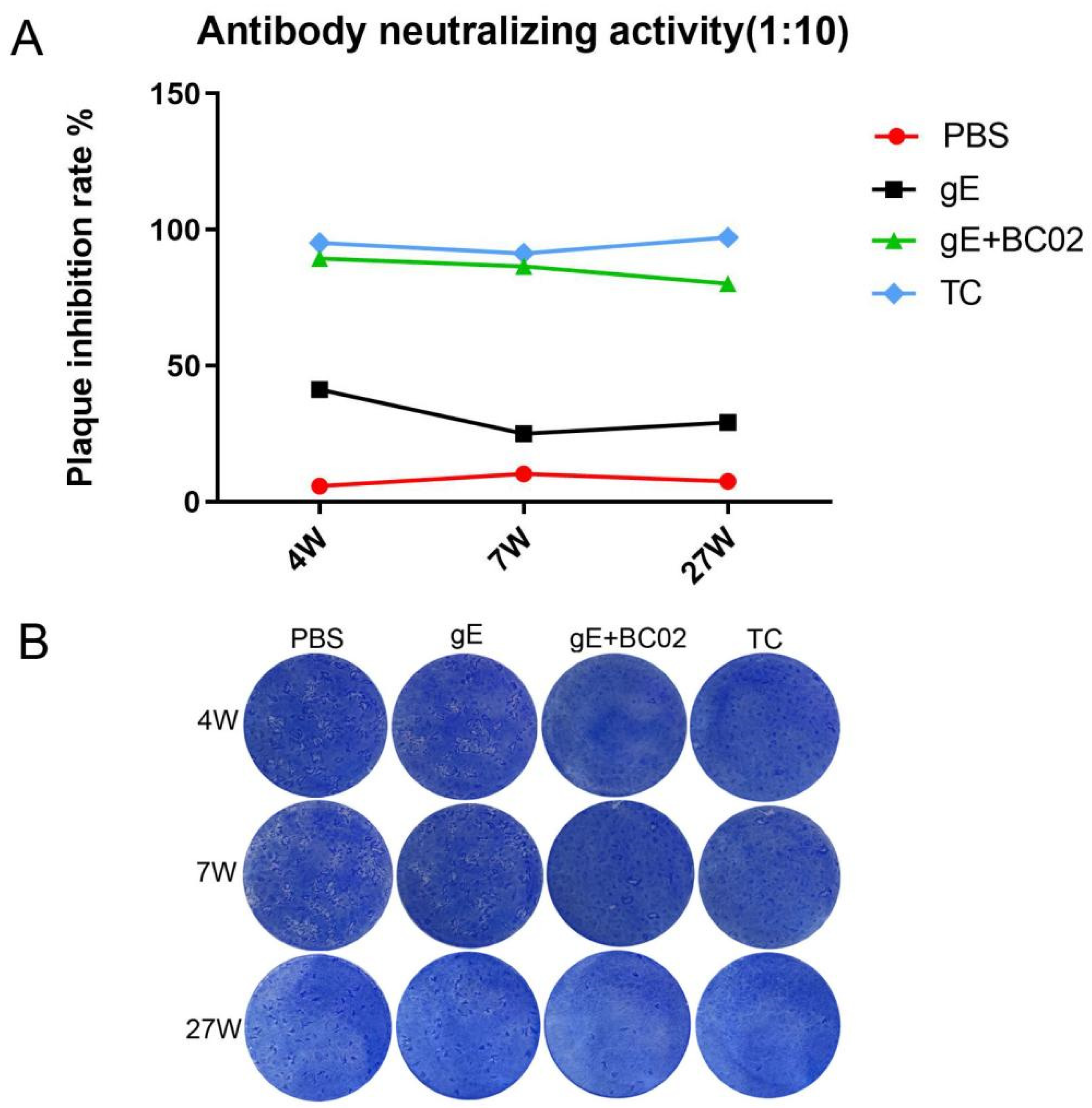 Vaccines 10 00529 g006