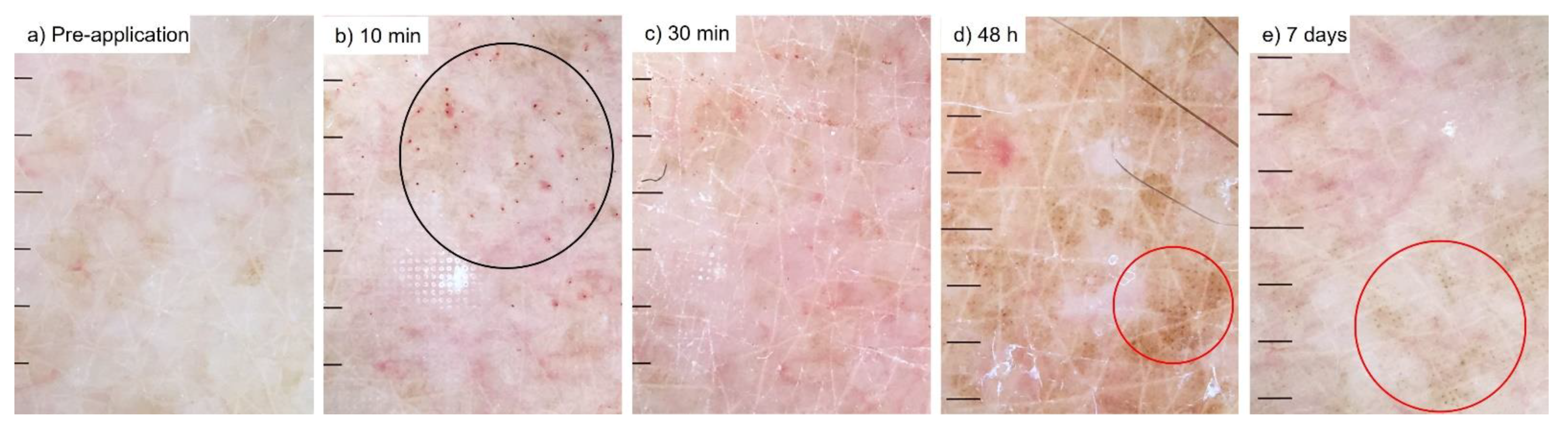 Vaccines 10 00583 g002