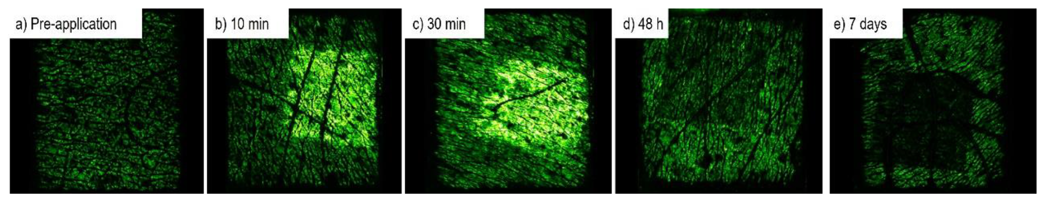 Vaccines 10 00583 g004