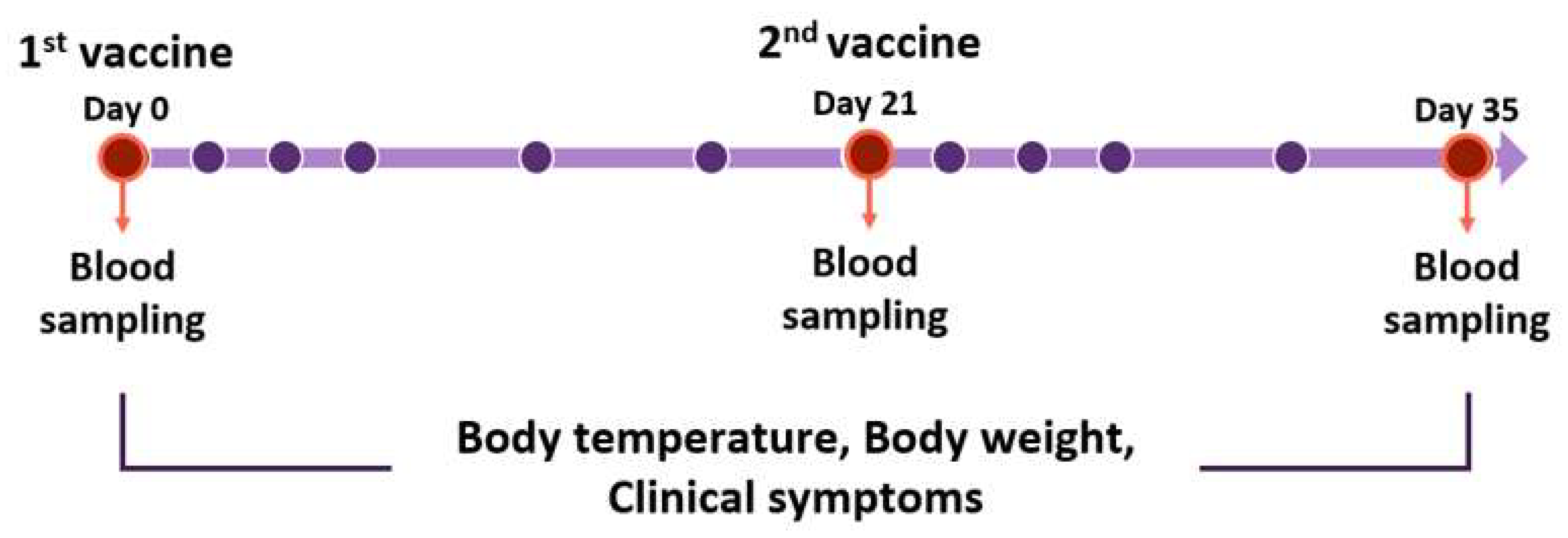 Vaccines 10 00676 g002