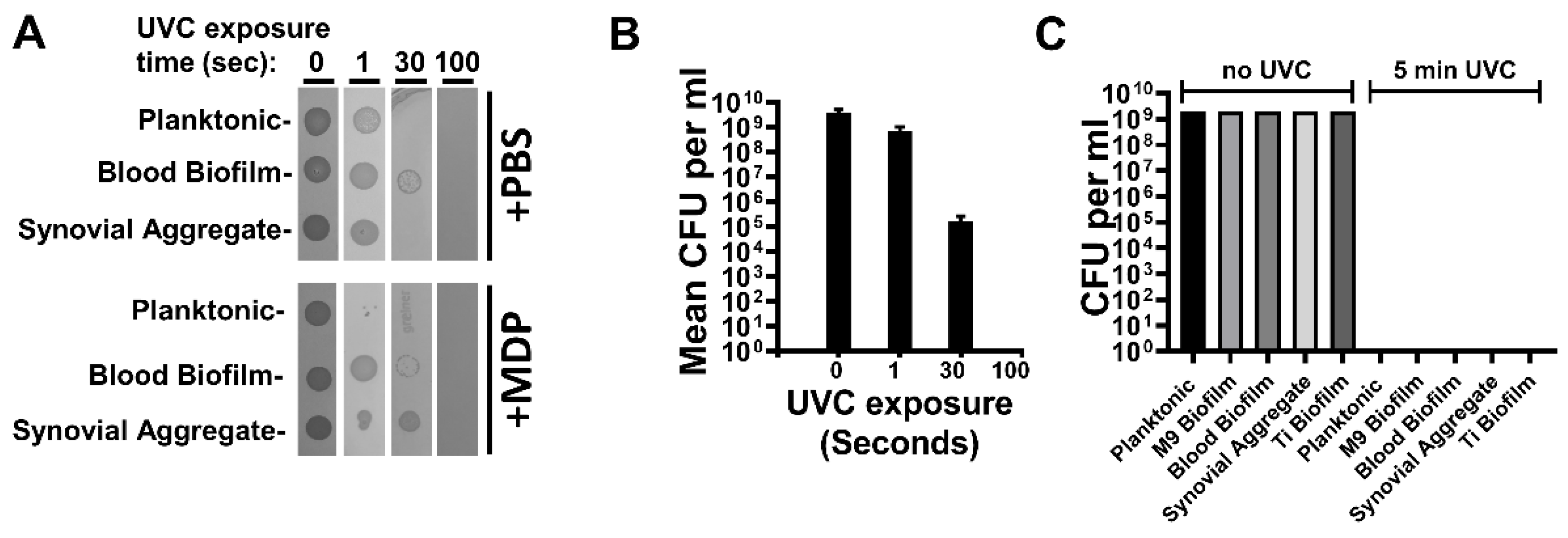 Vaccines 10 00833 g002 Vaccines 10 00833 g002