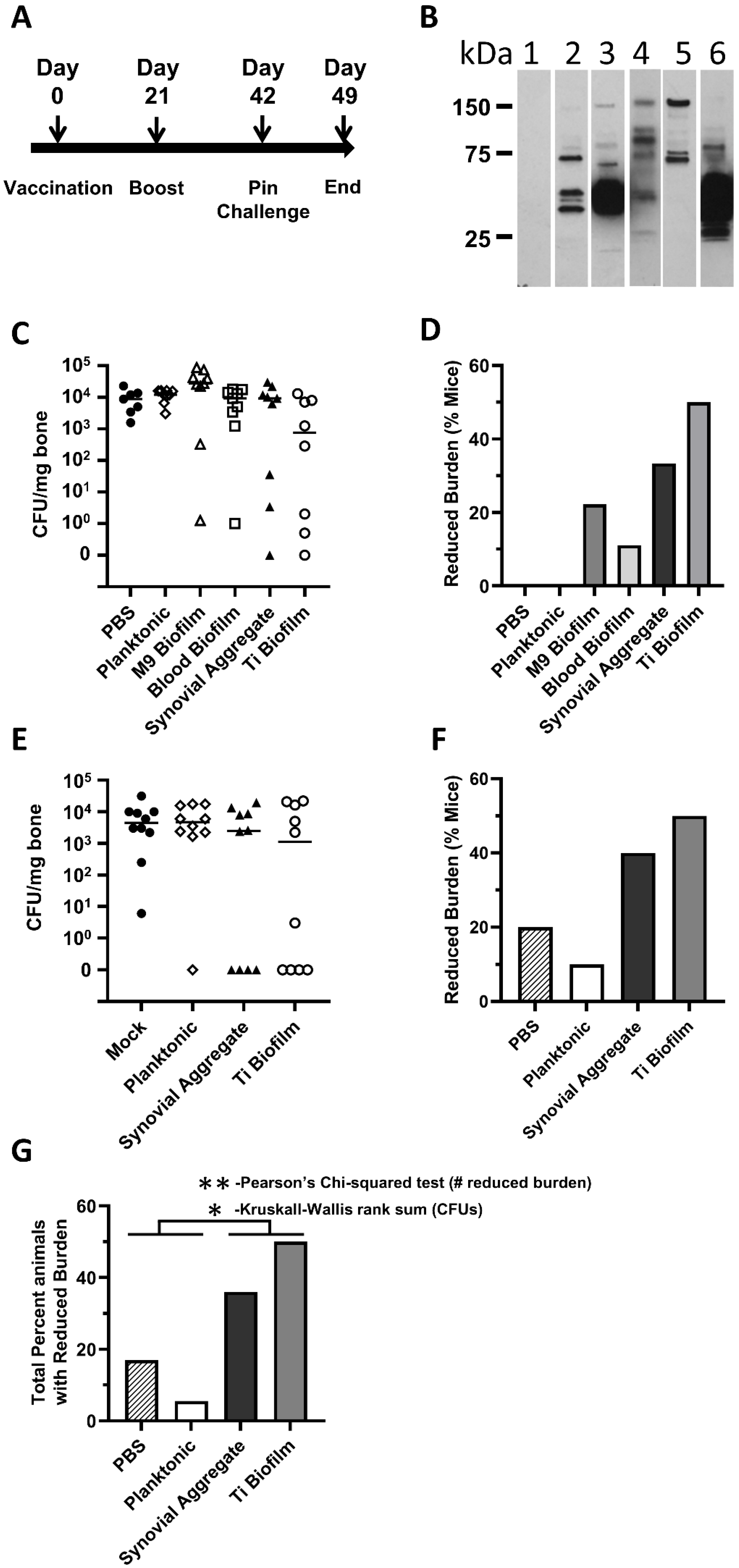 Vaccines 10 00833 g004 Vaccines 10 00833 g004