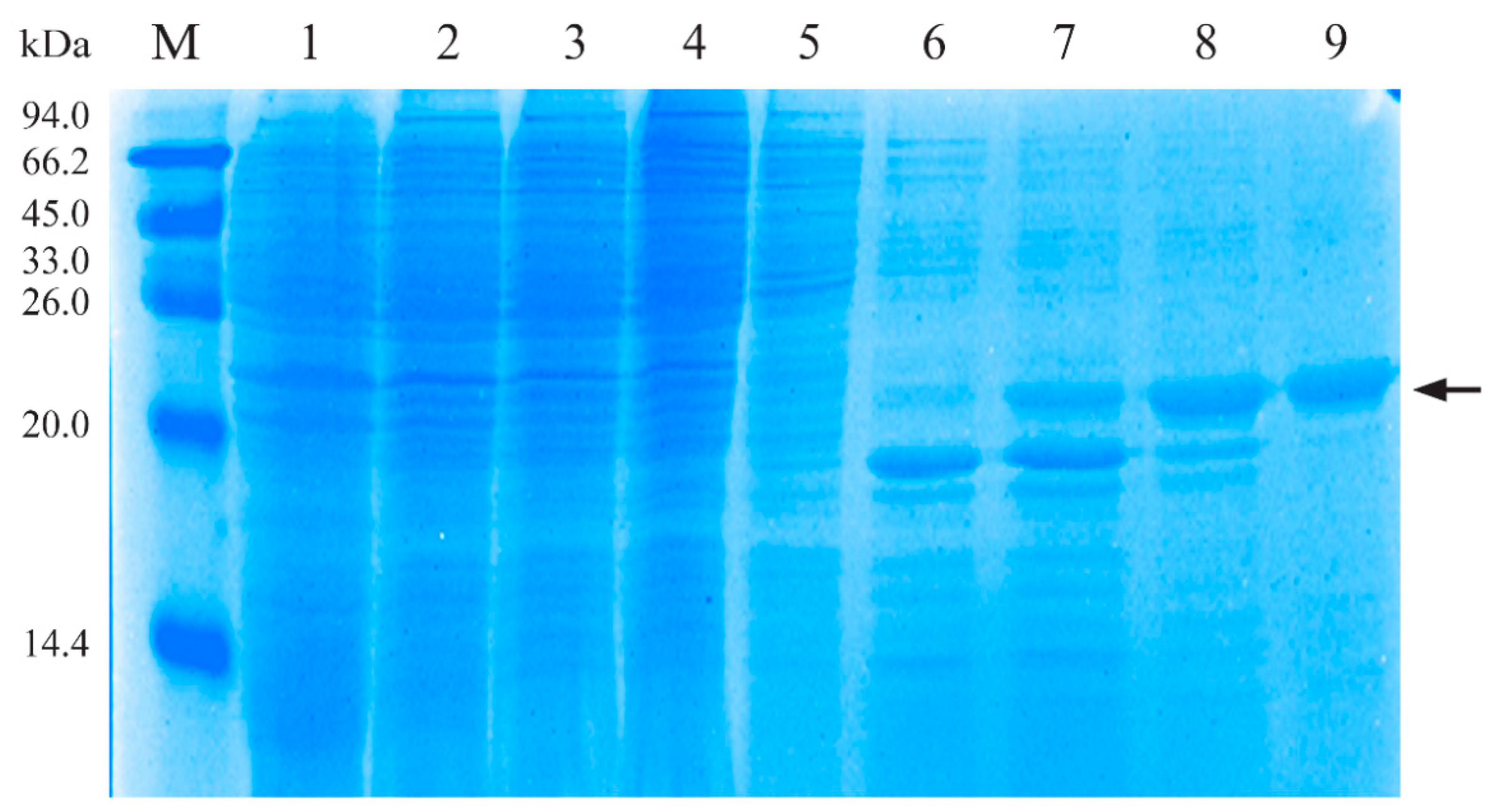Vaccines 10 00839 g001
