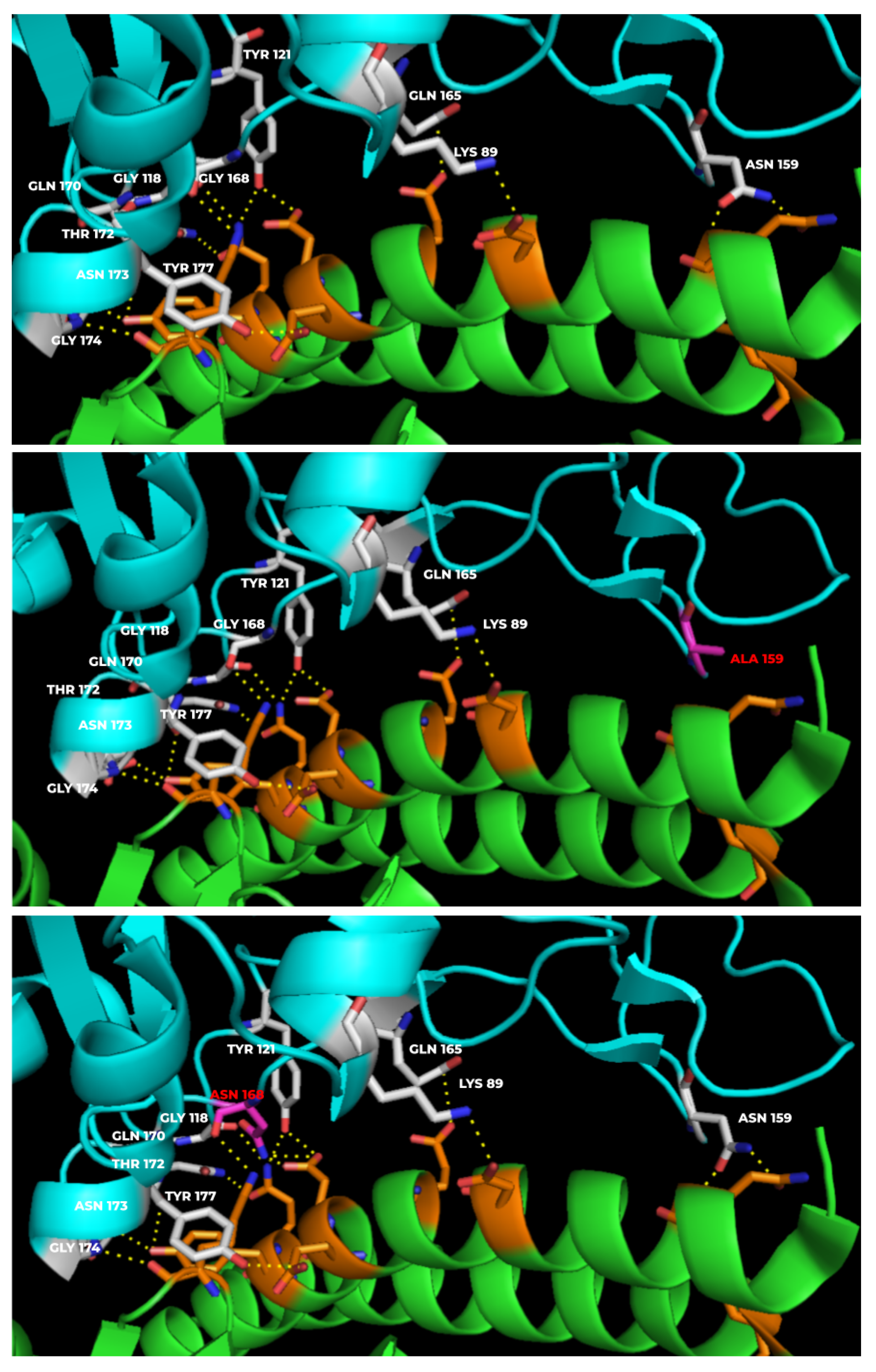 Vaccines 10 00841 g005