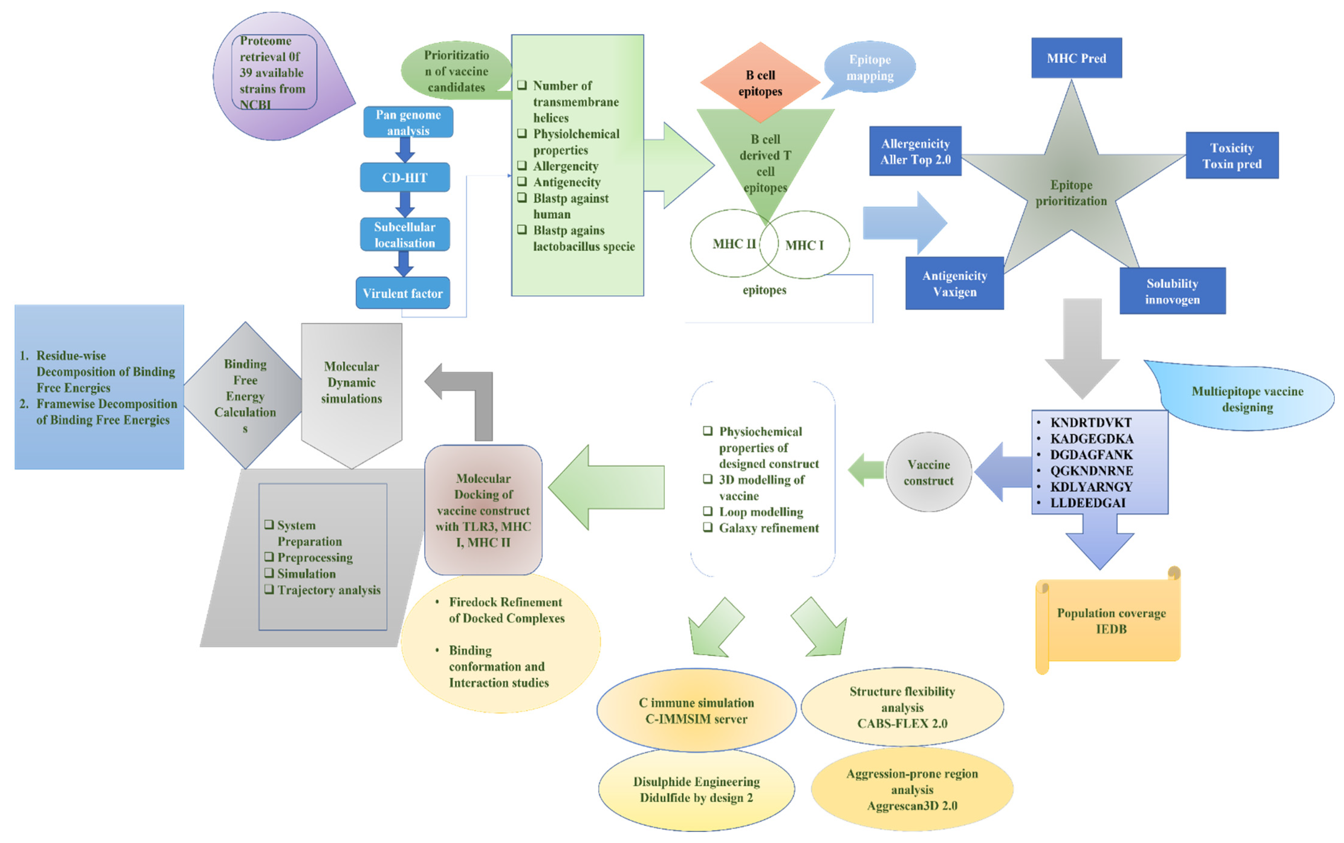Vaccines 10 00886 g001