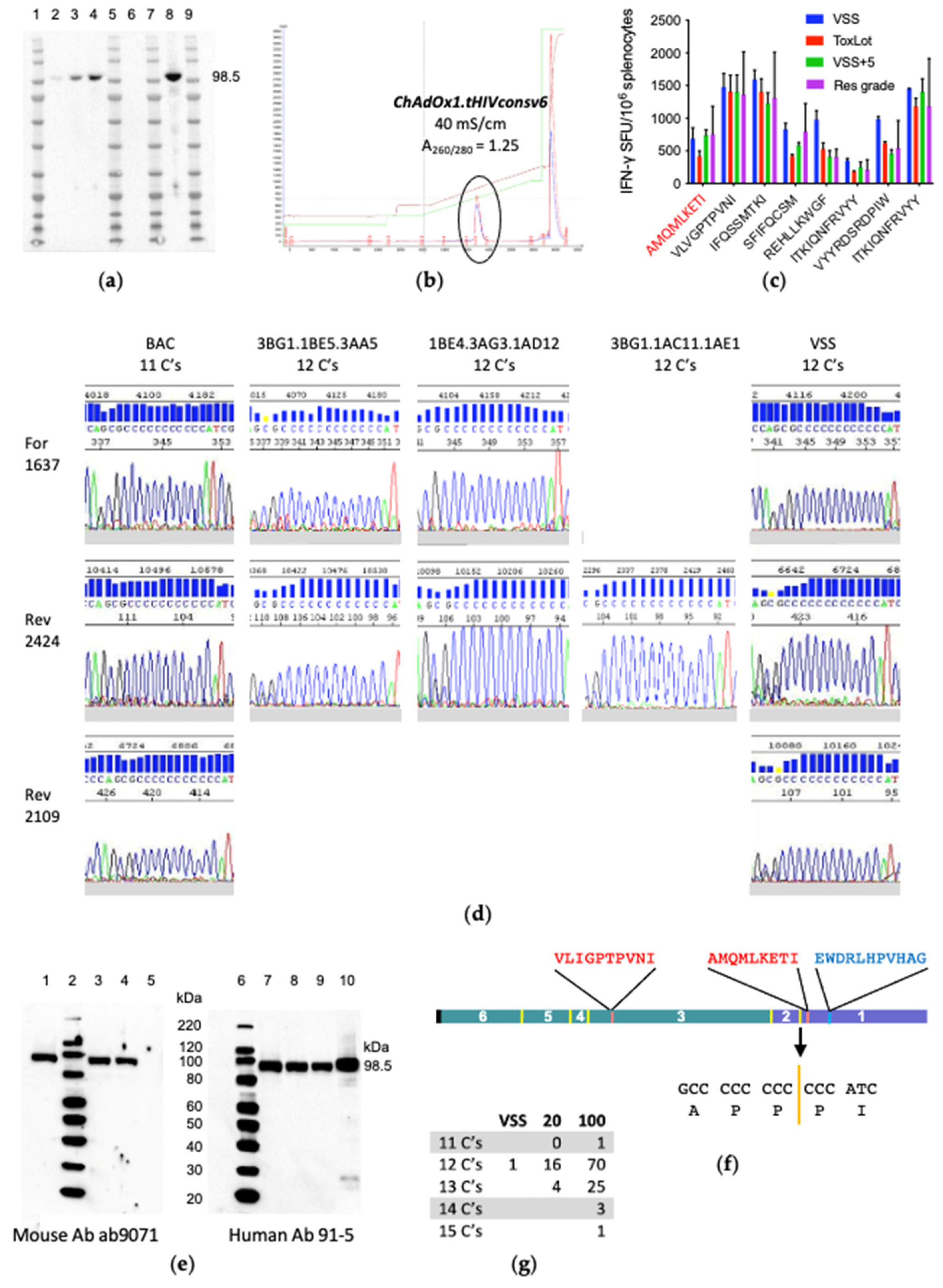 Vaccines 10 00960 g003