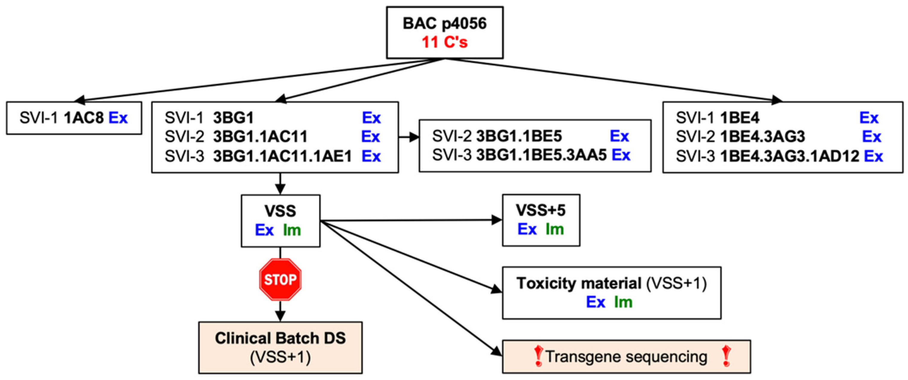 Vaccines 10 00960 g004