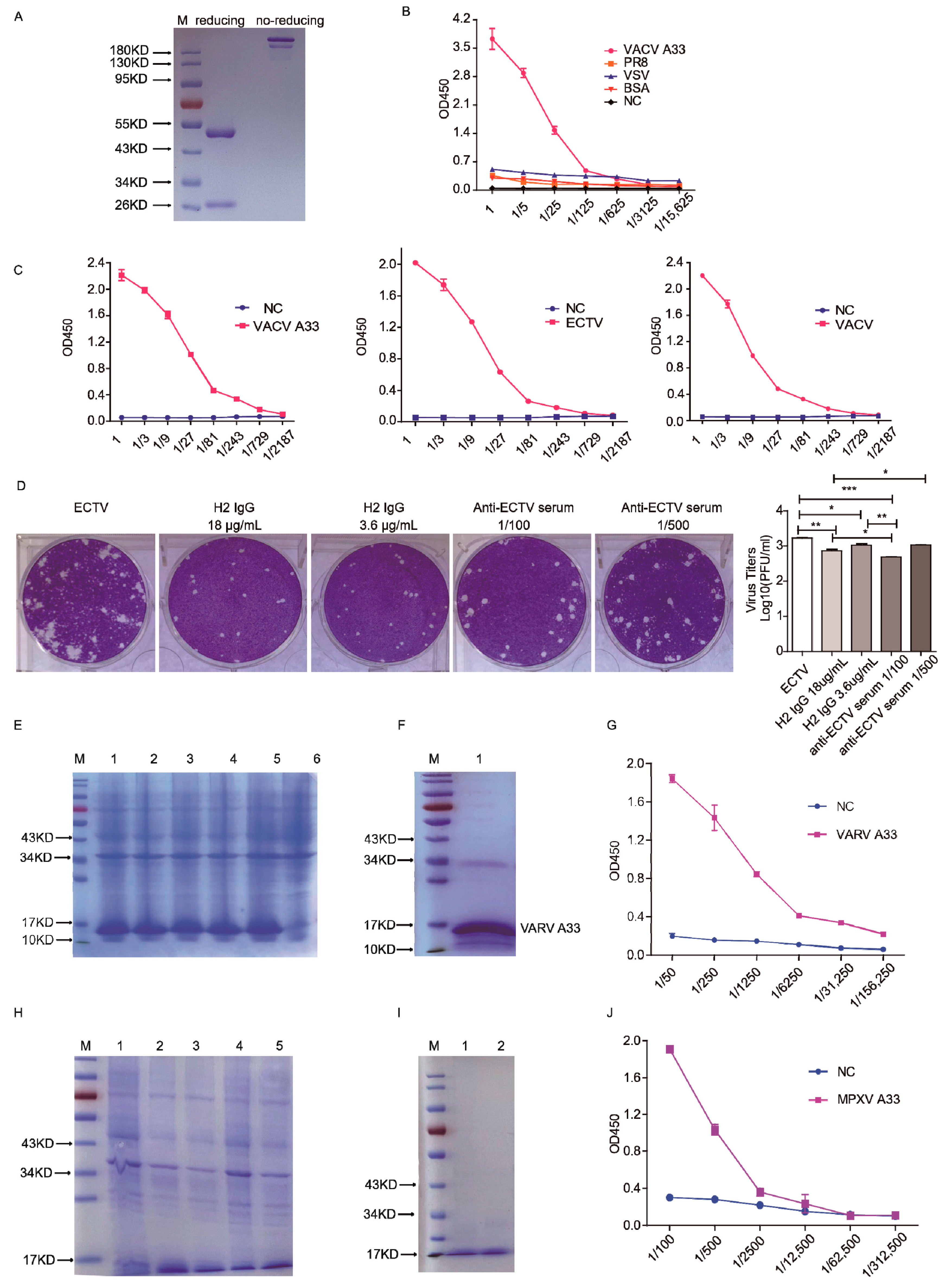 Vaccines 10 01084 g003