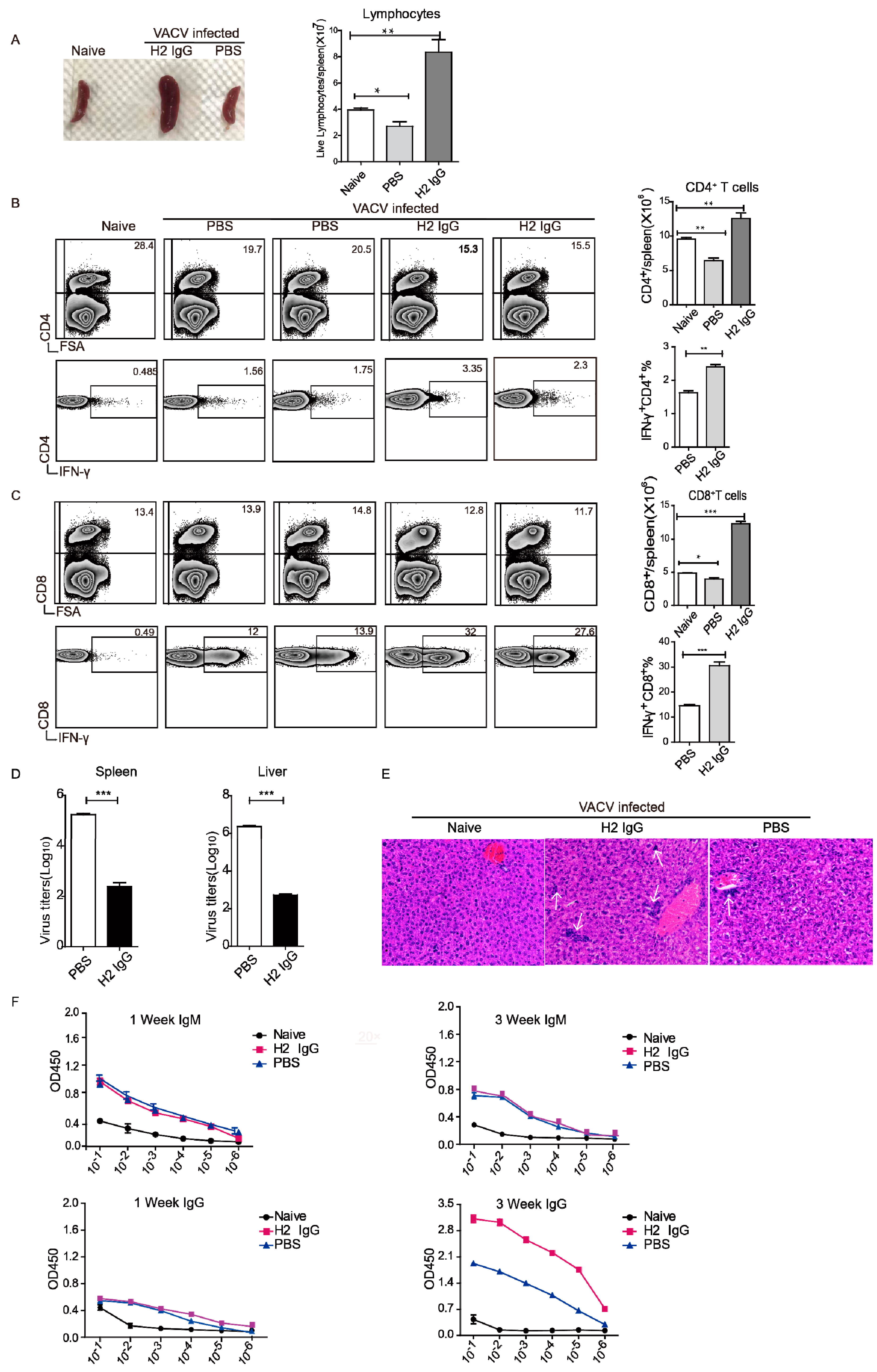 Vaccines 10 01084 g005