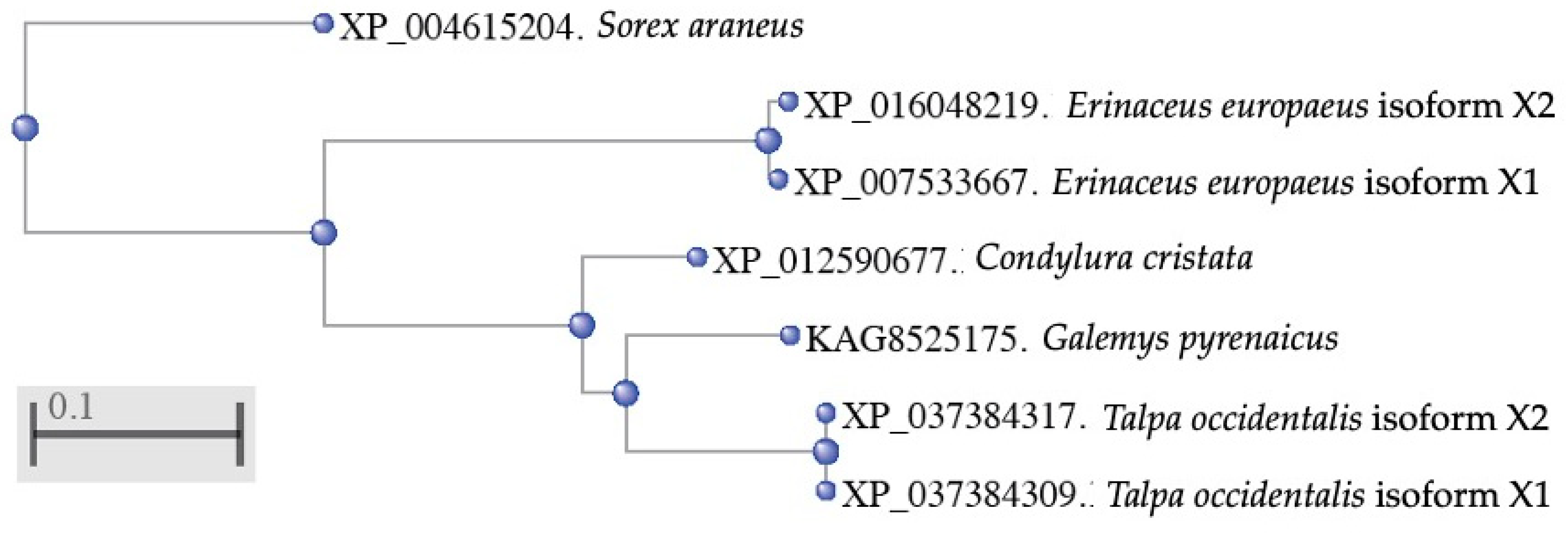 Vaccines 10 01105 g004