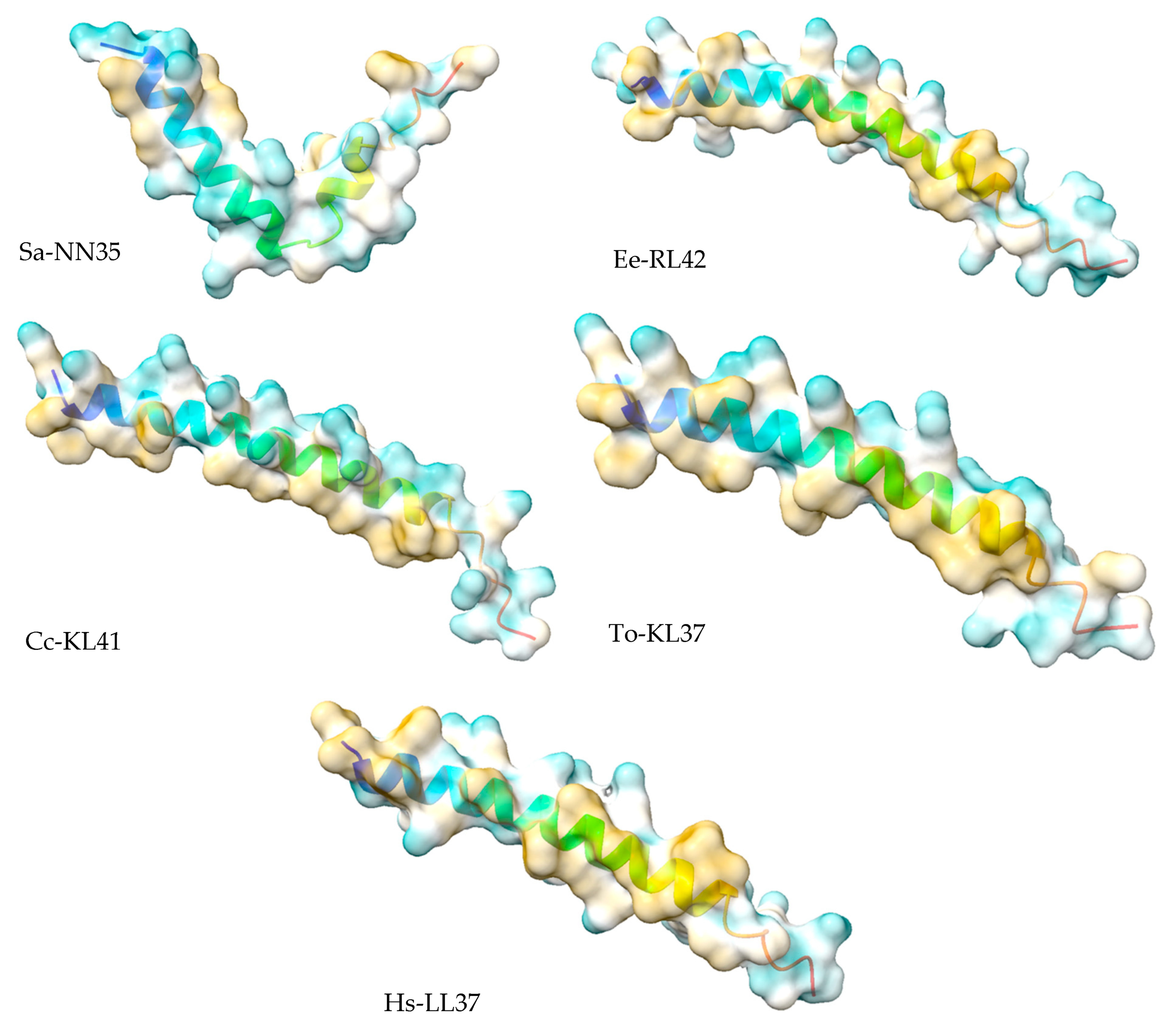 Vaccines 10 01105 g005